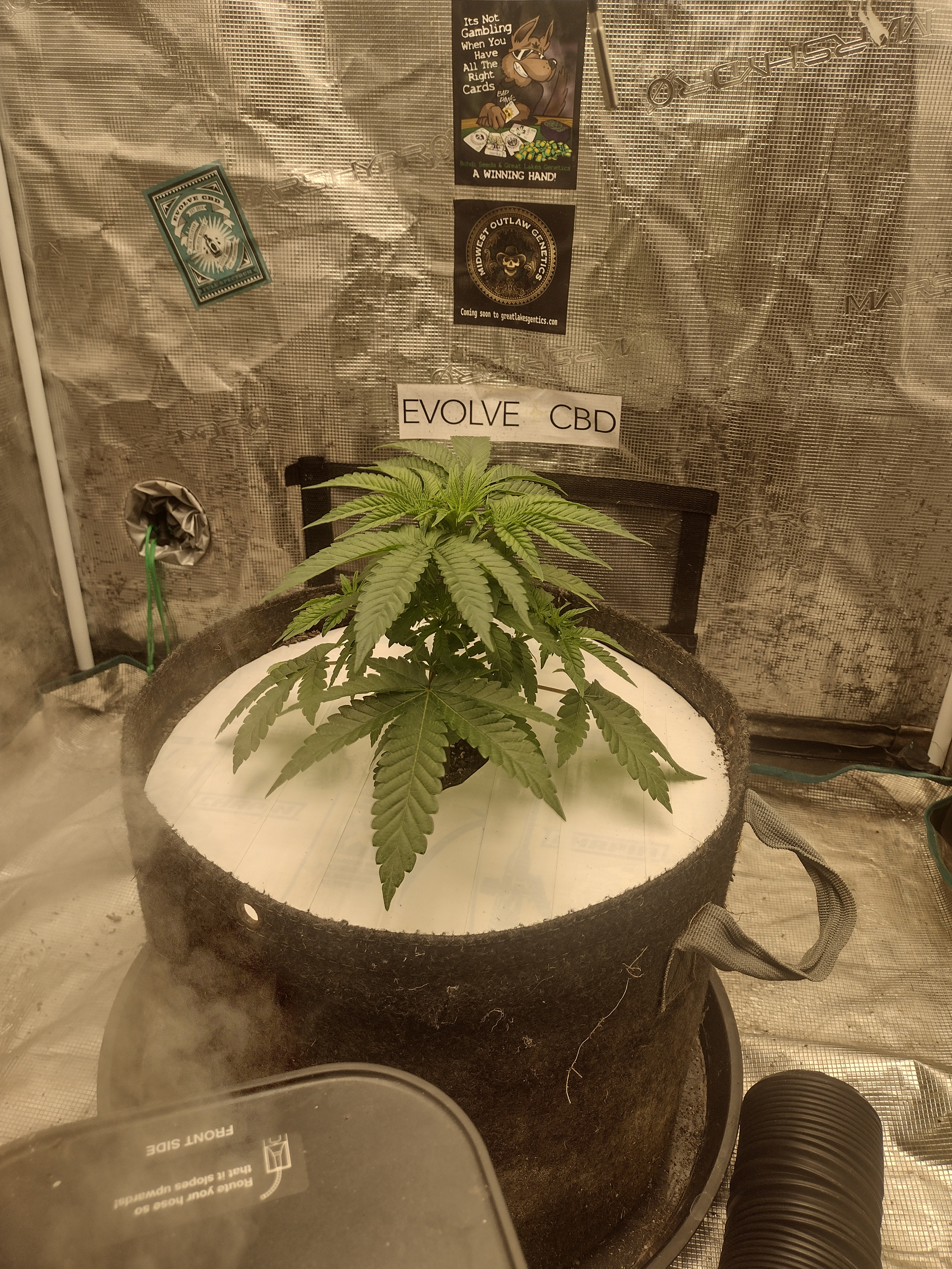 IMG_20260308_091235636_HDR.jpg