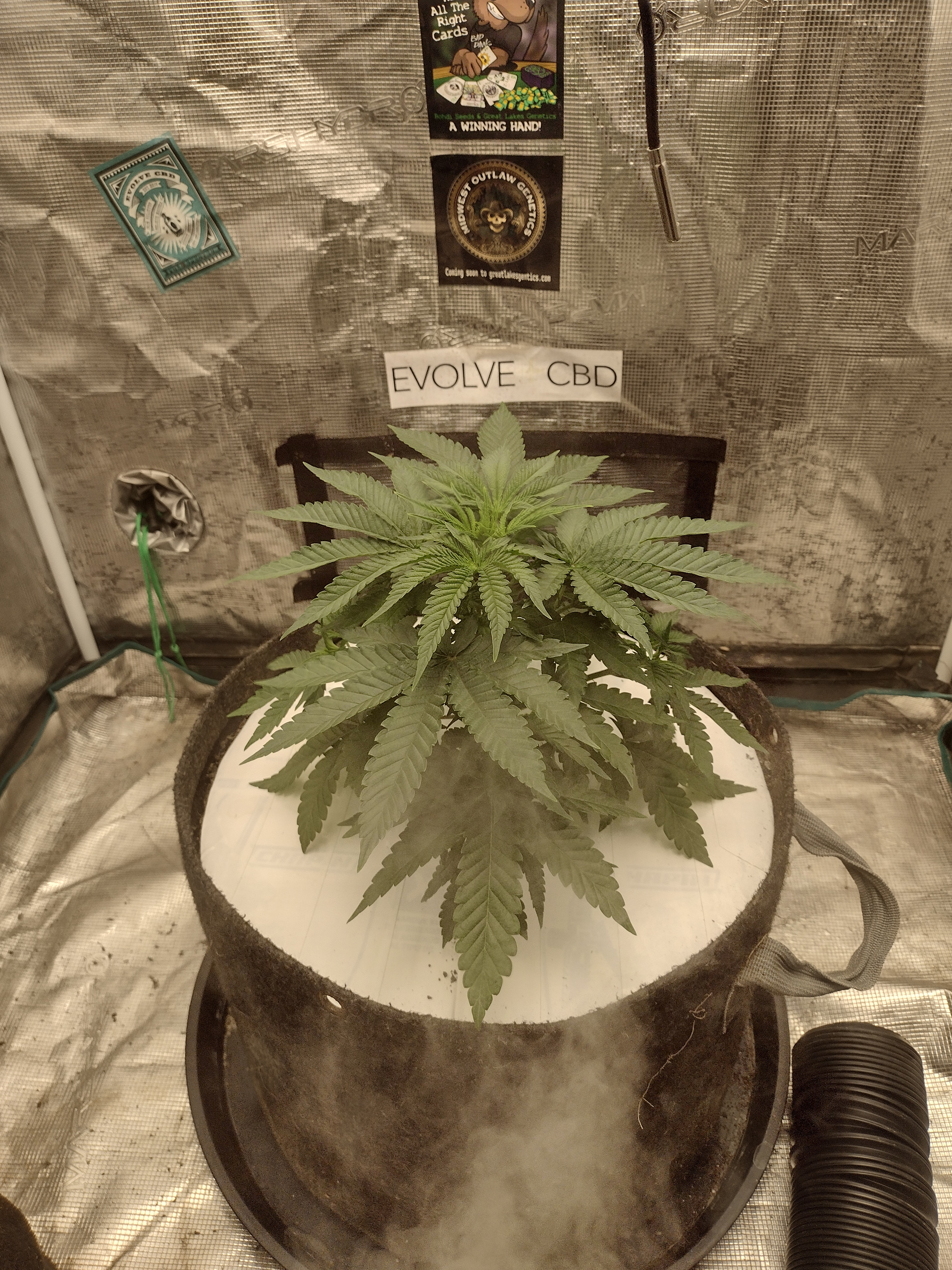 IMG_20260310_162945406_HDR.jpg