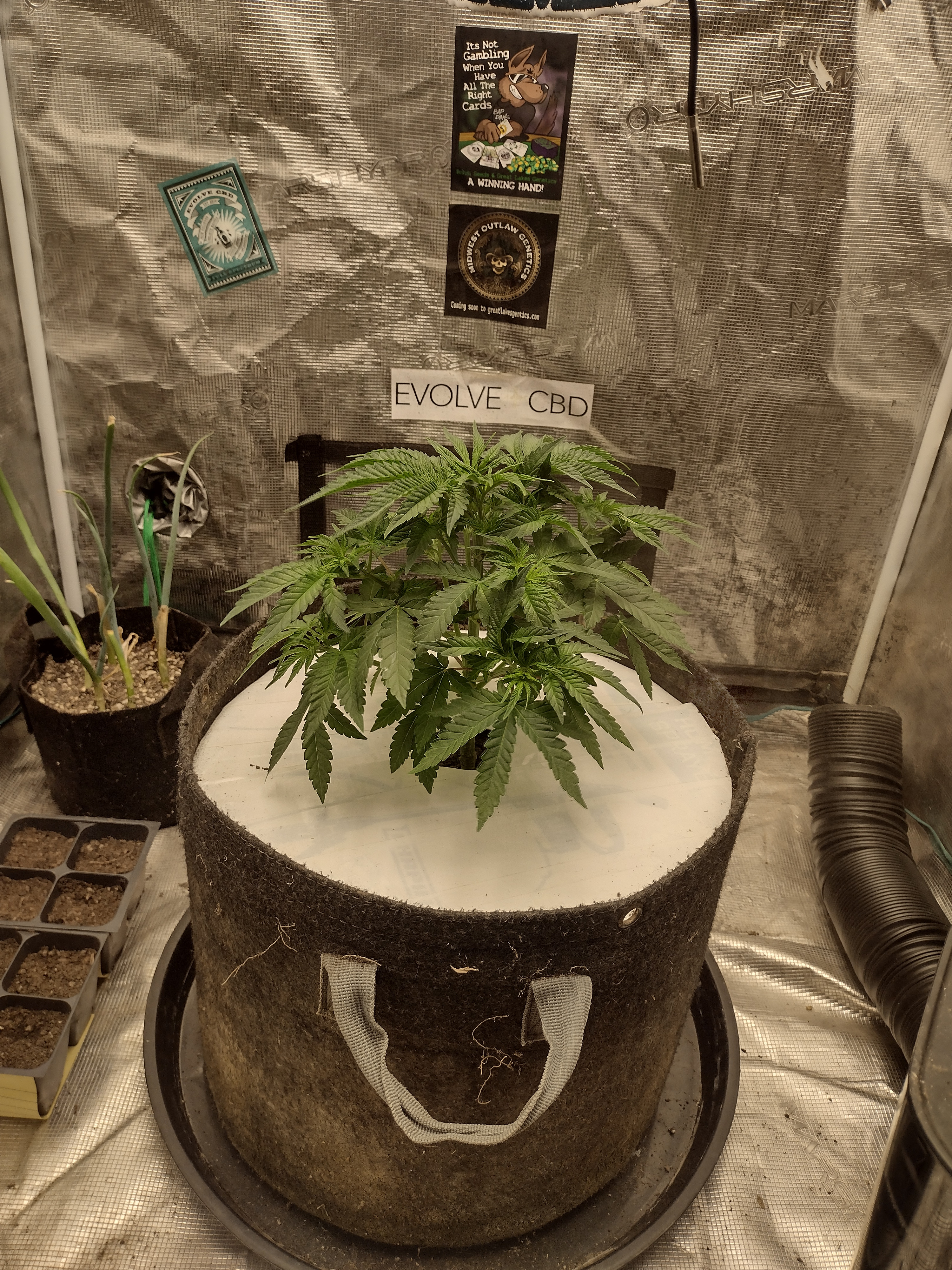 IMG_20260311_102004867_HDR.jpg