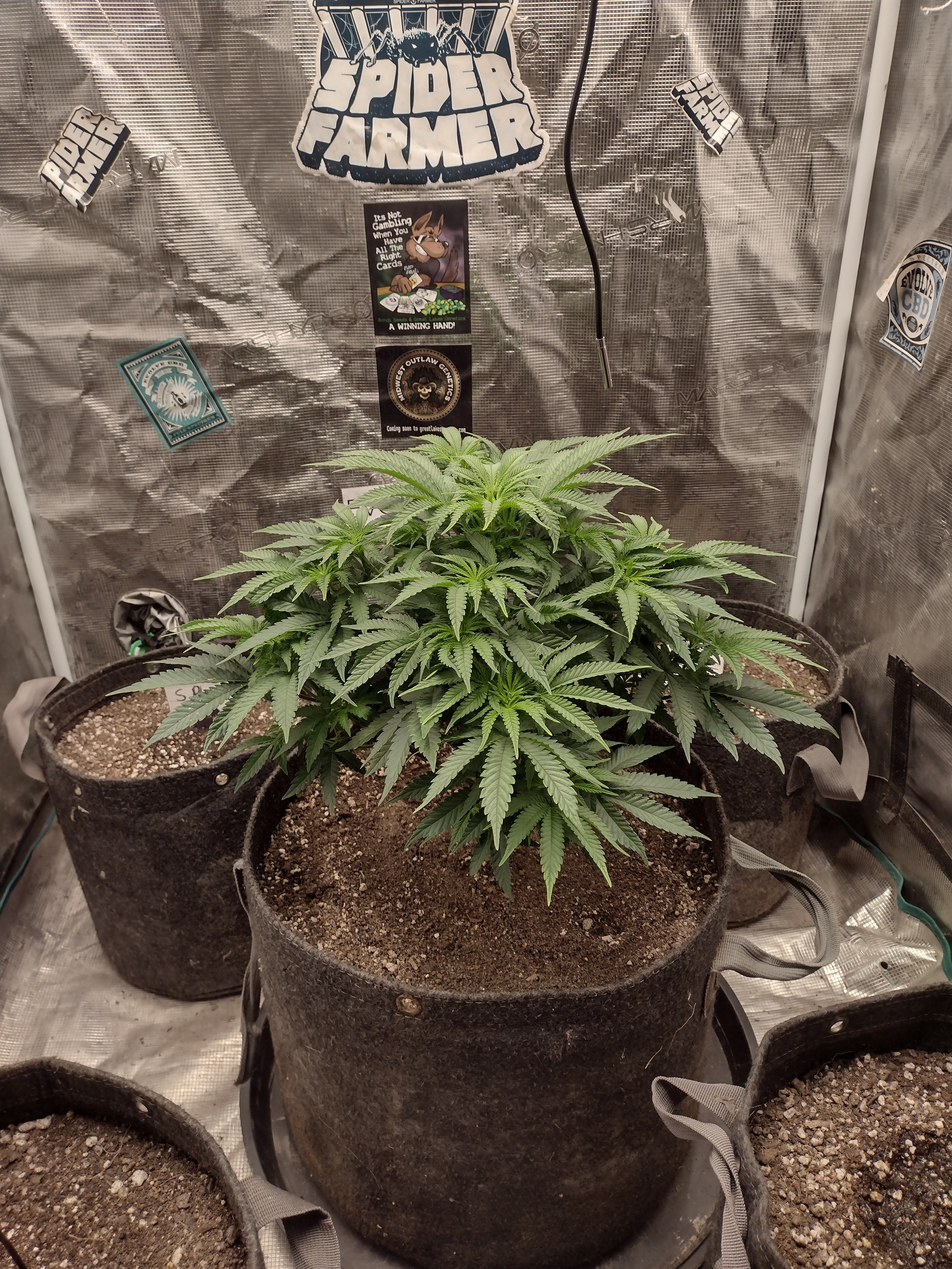 IMG_20260326_072335949_HDR.jpg