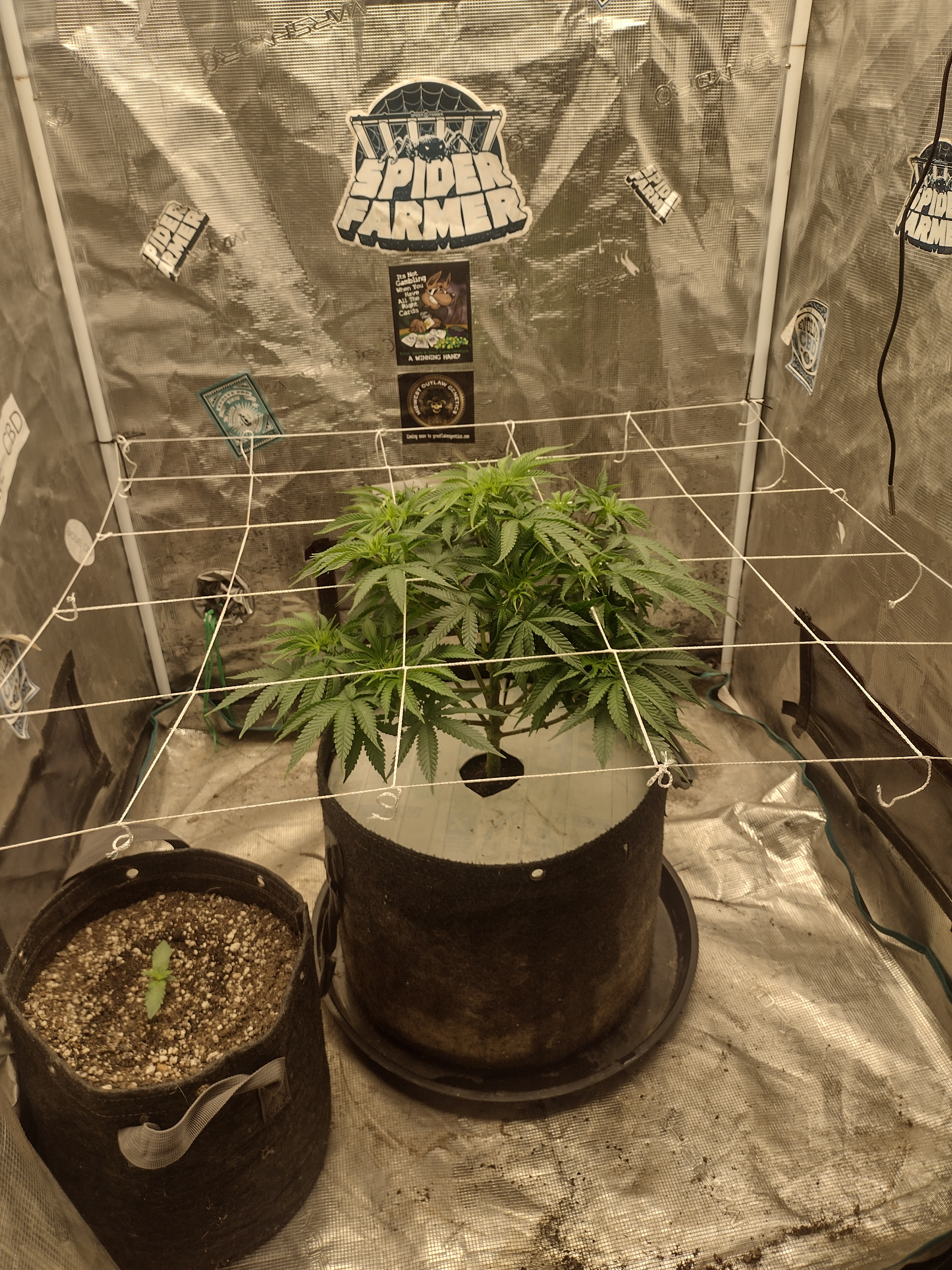 IMG_20260330_073324471_HDR.jpg