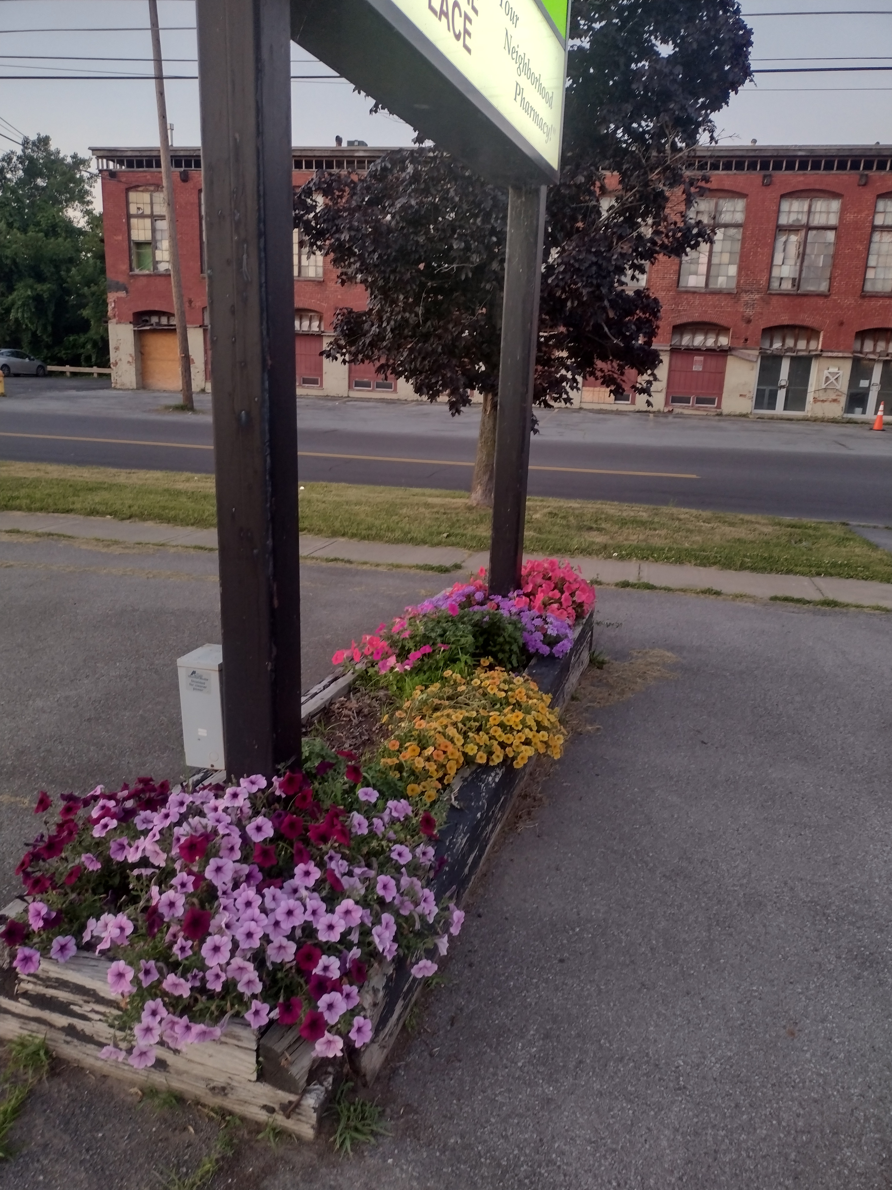 IMG_20260711_205553119_HDR.jpg