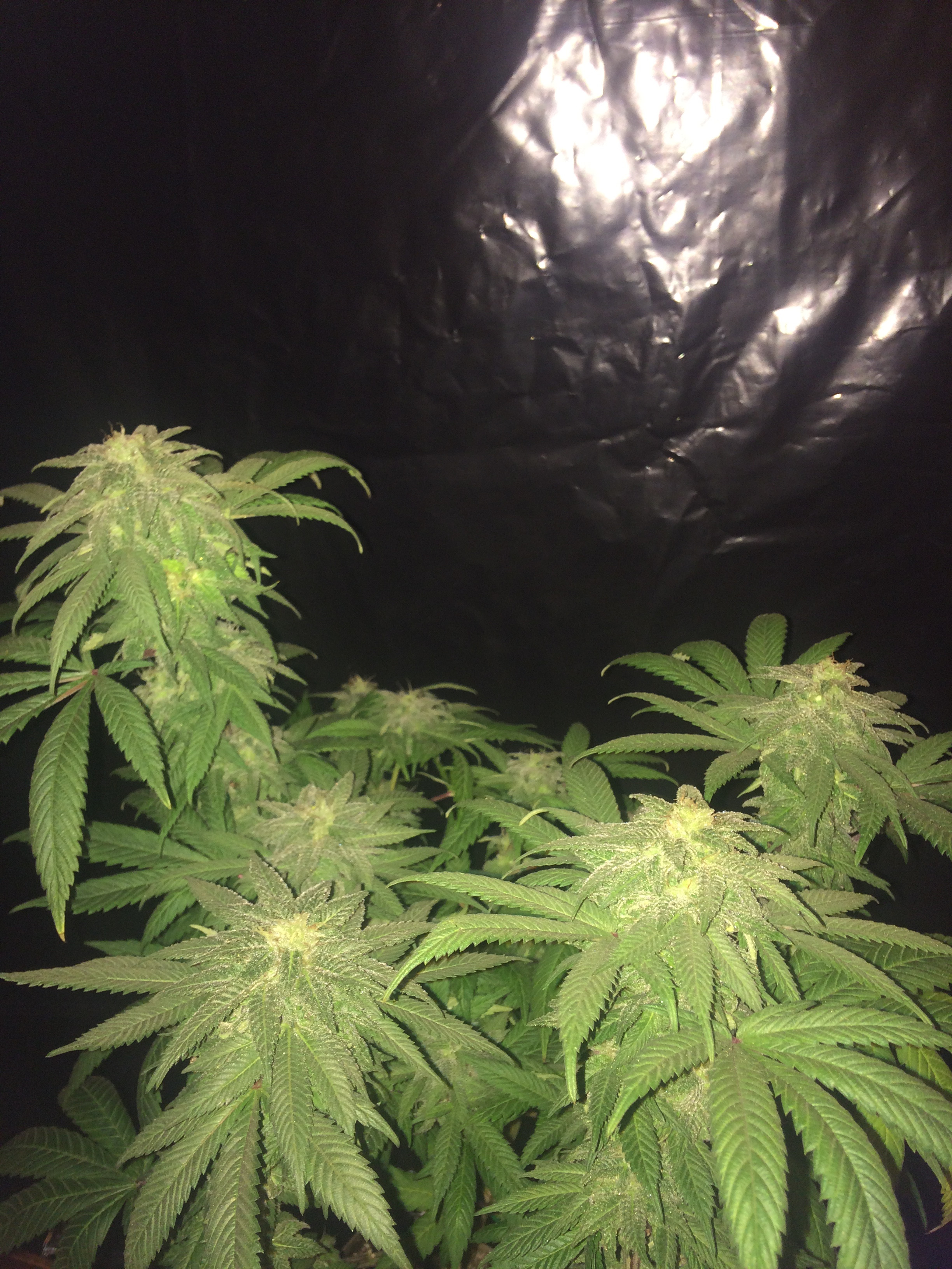 IMG_2276.JPG