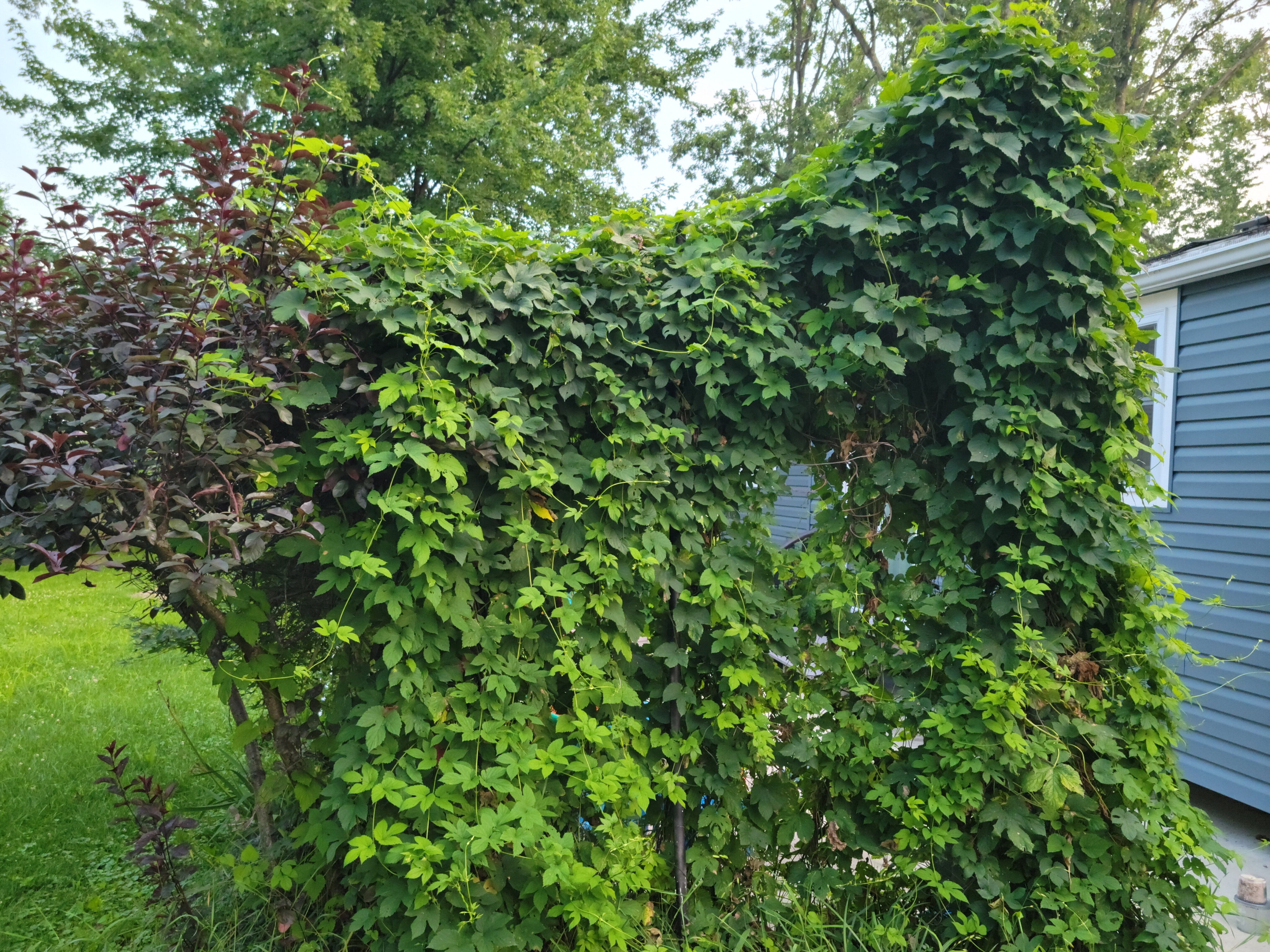InShot_20230803_202732330.jpg