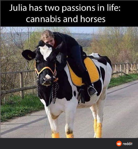 julia.png