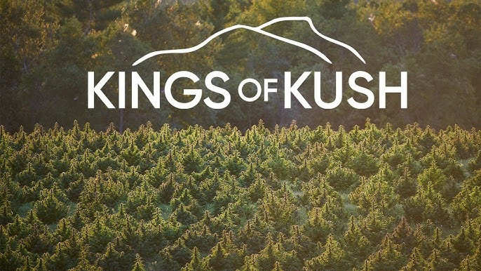 kingsofkush.jpg