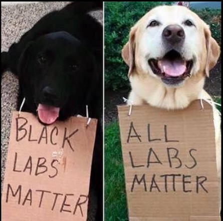 labs.jpg