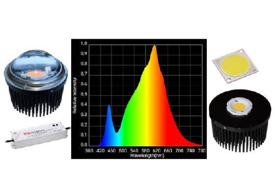LEDs.jpg