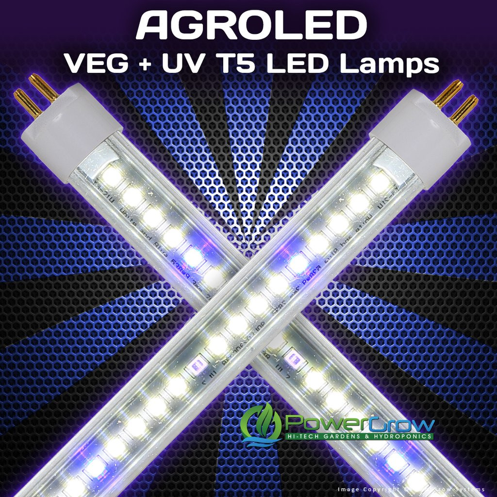 ledt5UVtubesLG_1024x1024.jpg
