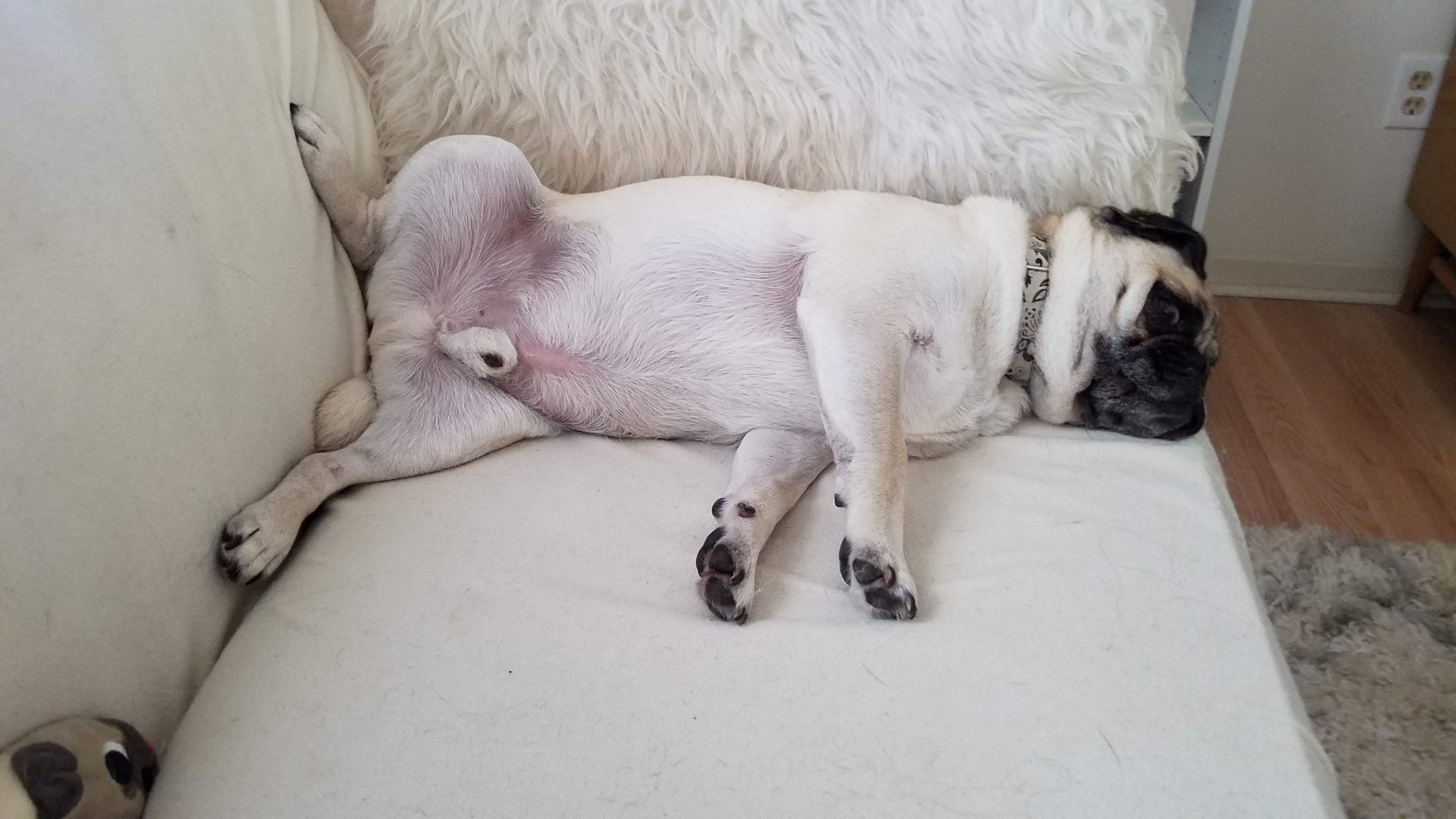 LiamBelly.jpg