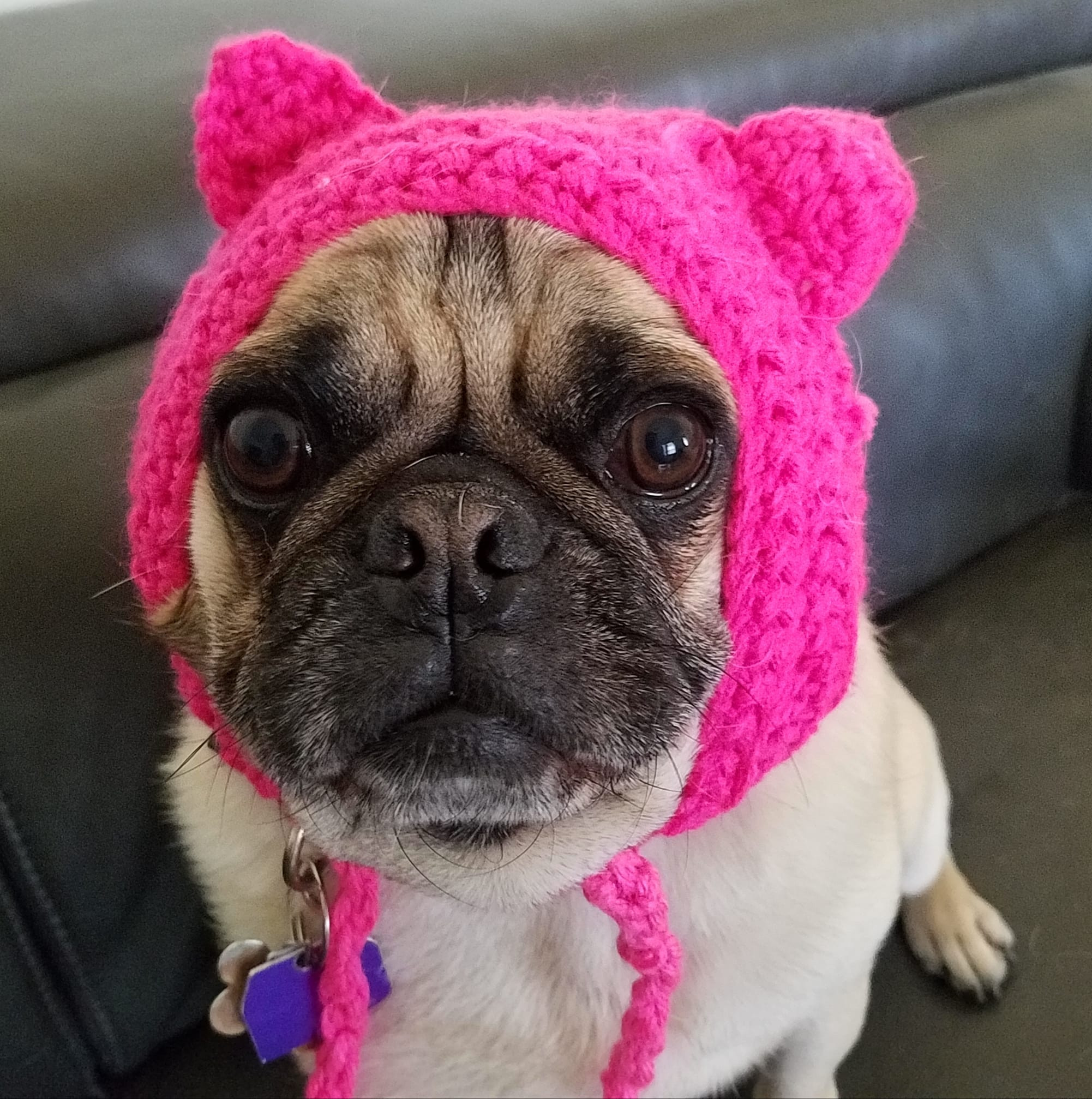 LiamPussyHat.jpg