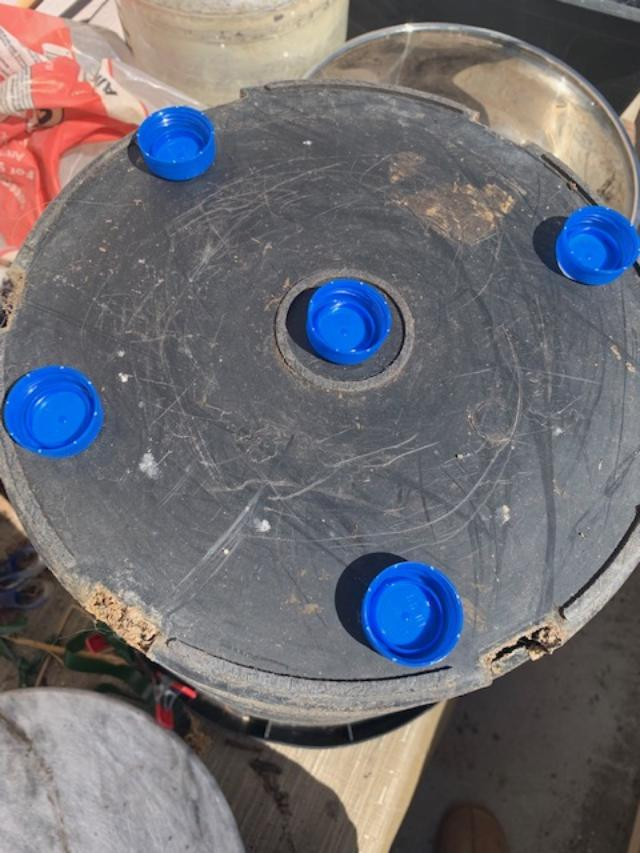 lids.jpg