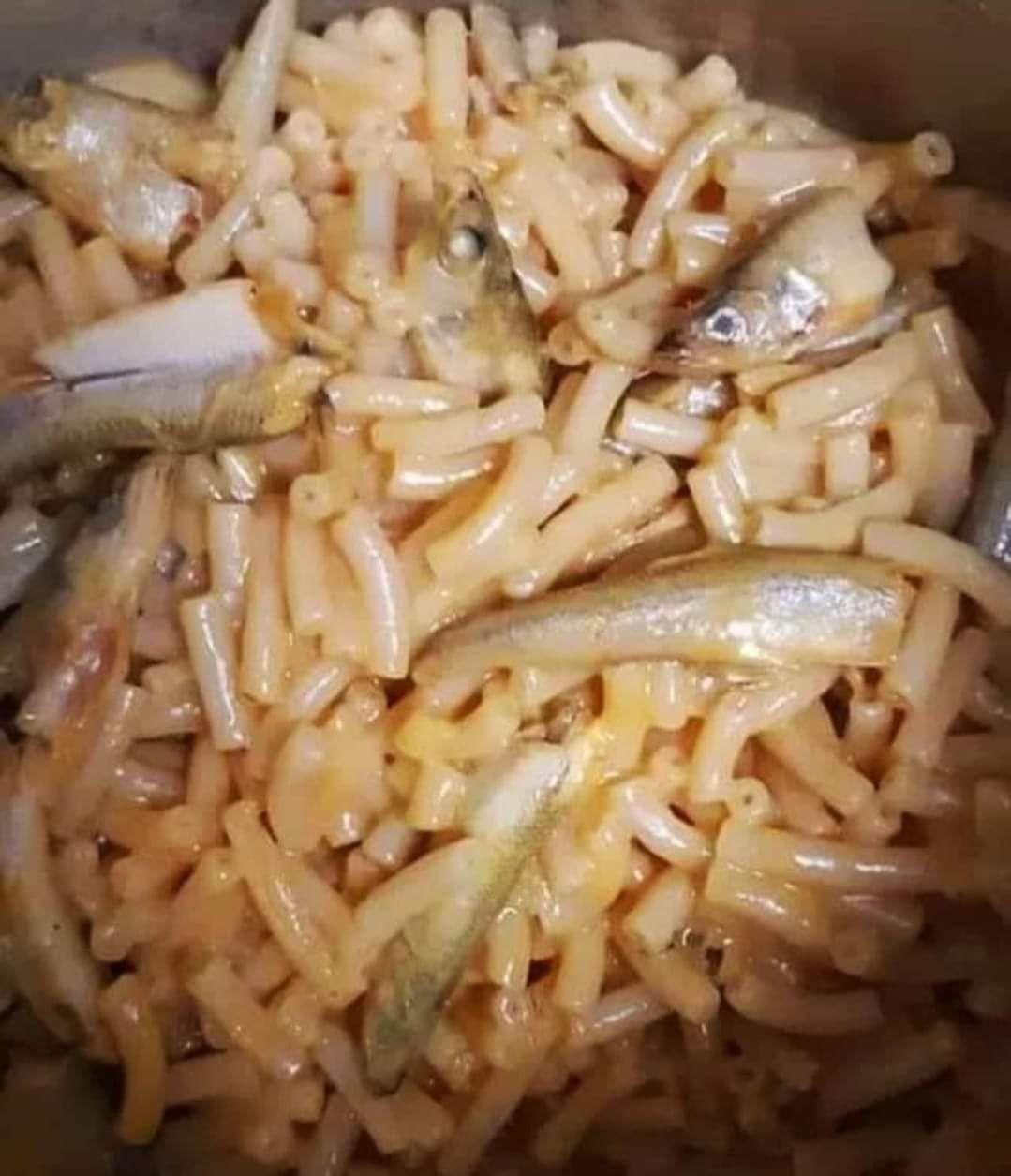 MAC AND MINNOWS.jpg