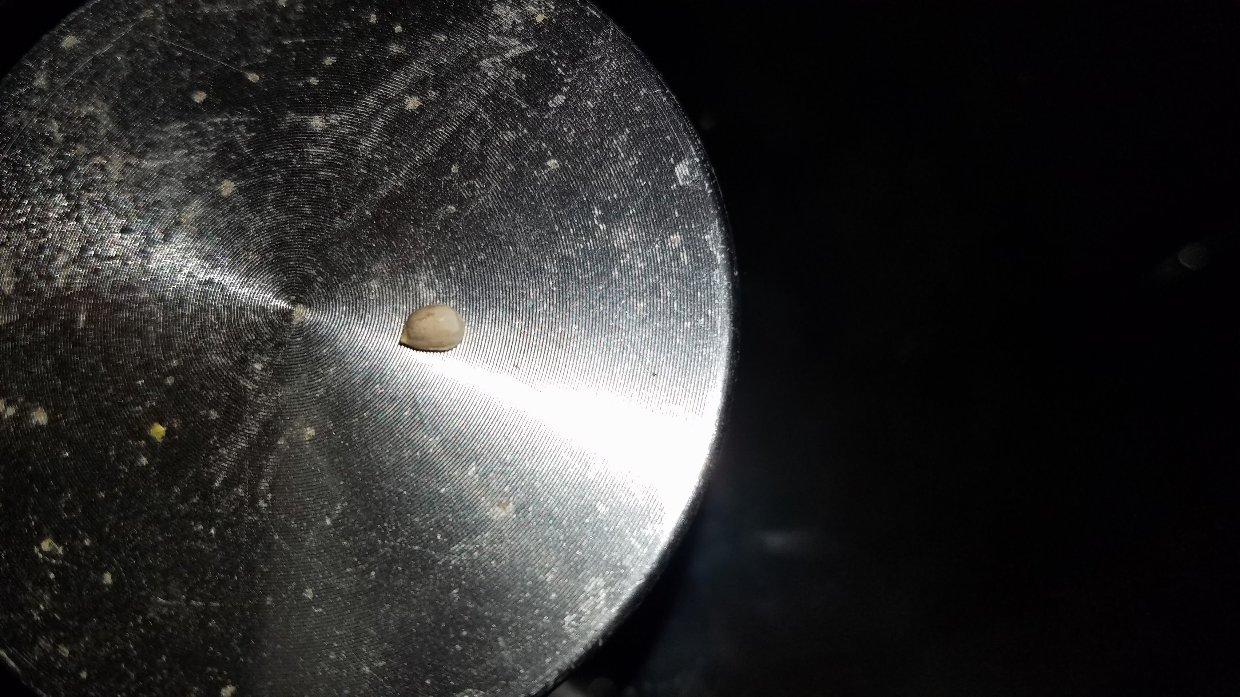 MagSeed.jpg
