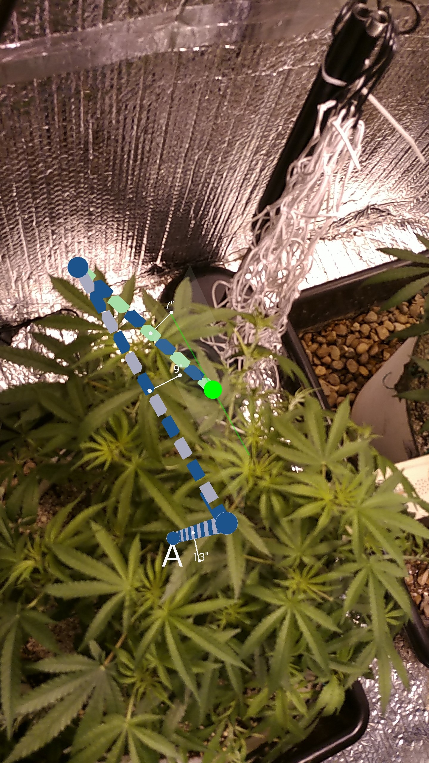 Measurement_2017-10-17-09-49-26-1.jpg