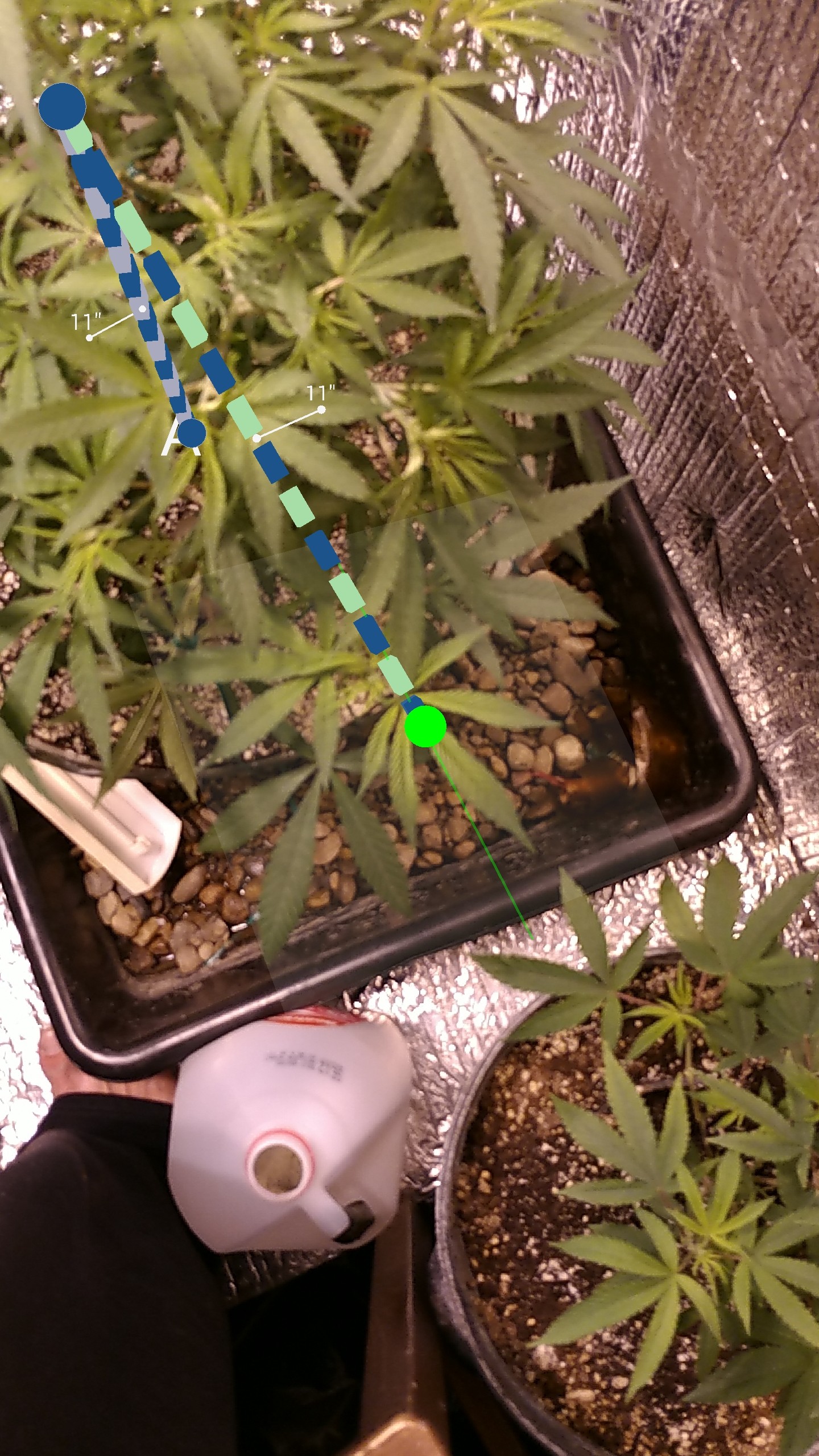 Measurement_2017-10-17-09-50-29-2.jpg