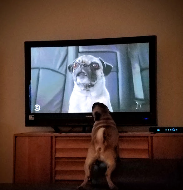 MIB.jpg