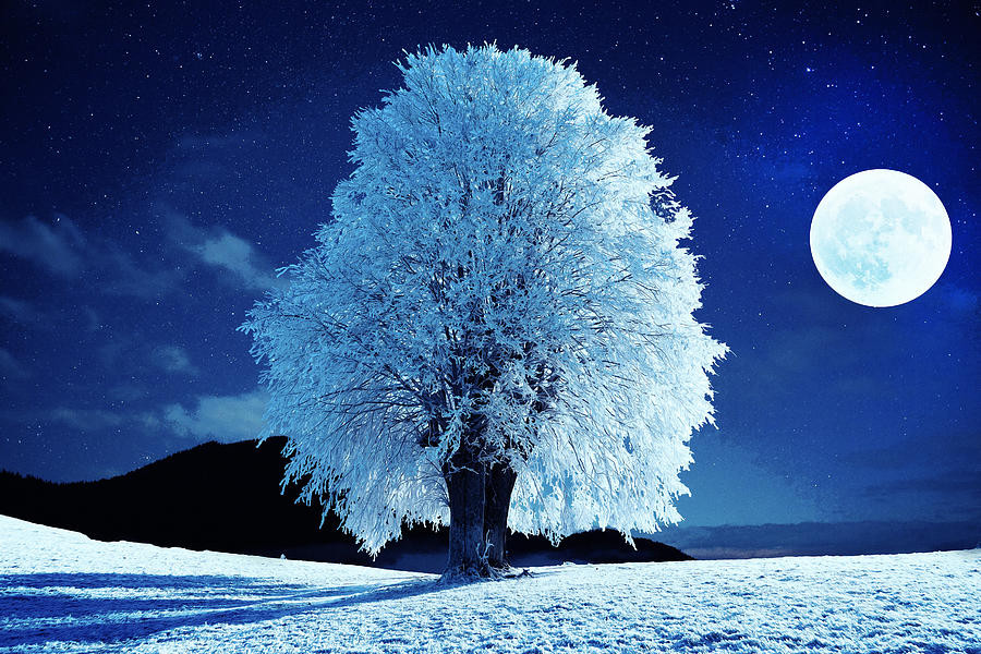 moonlit-winter-night.jpg