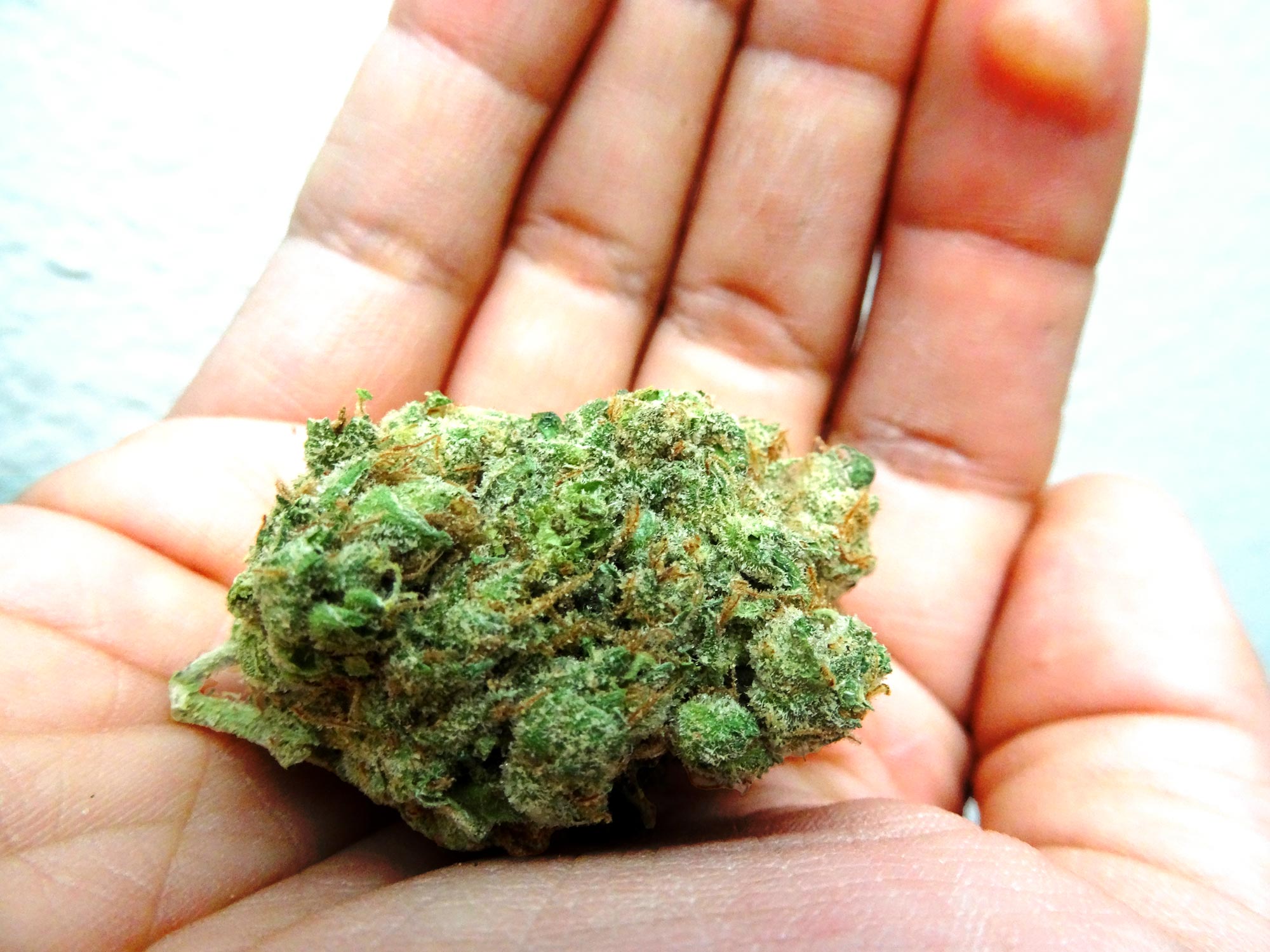 my-very-own-weed-nug-in-hand.jpg