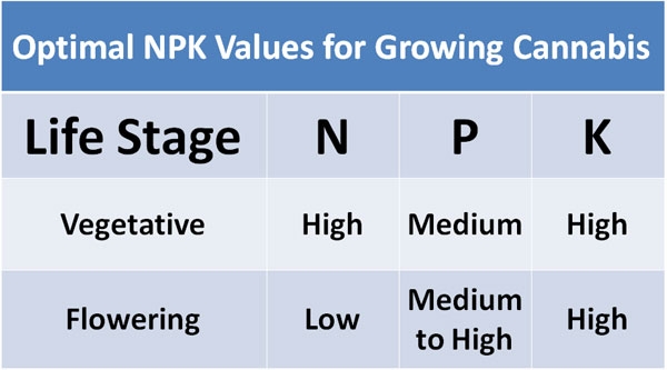 optimal-npk-values-growing-cannabis.jpg