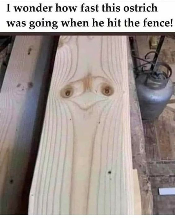 OSTRICH WOOD.jpg