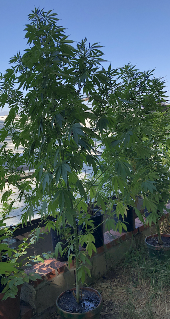 Outdoor 3.png