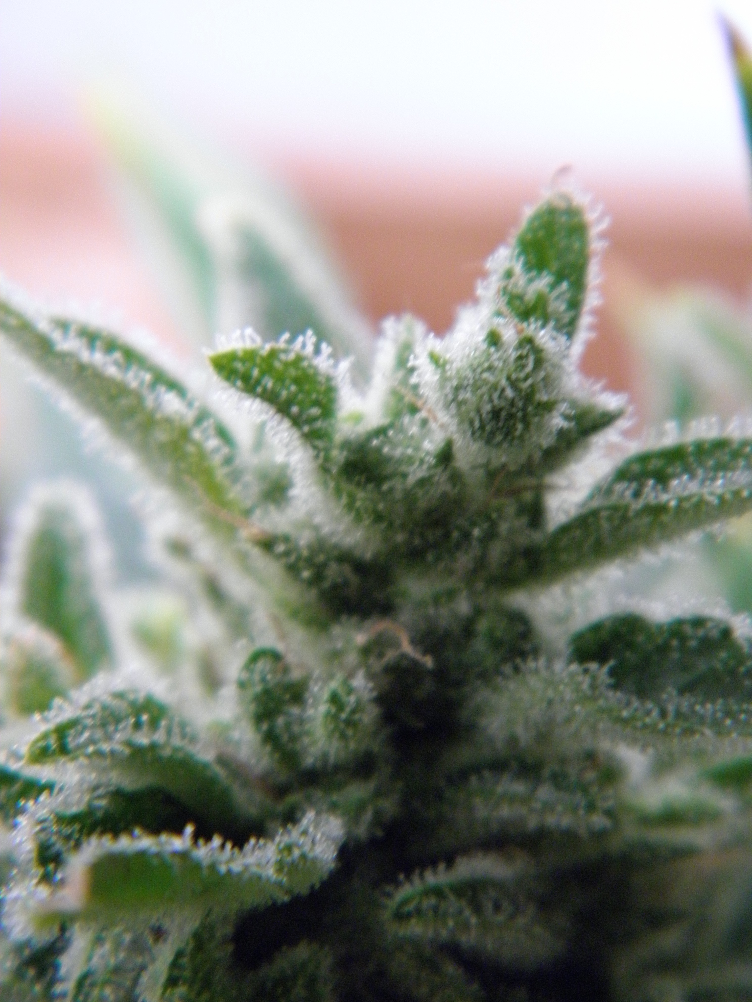 P1010540.JPG