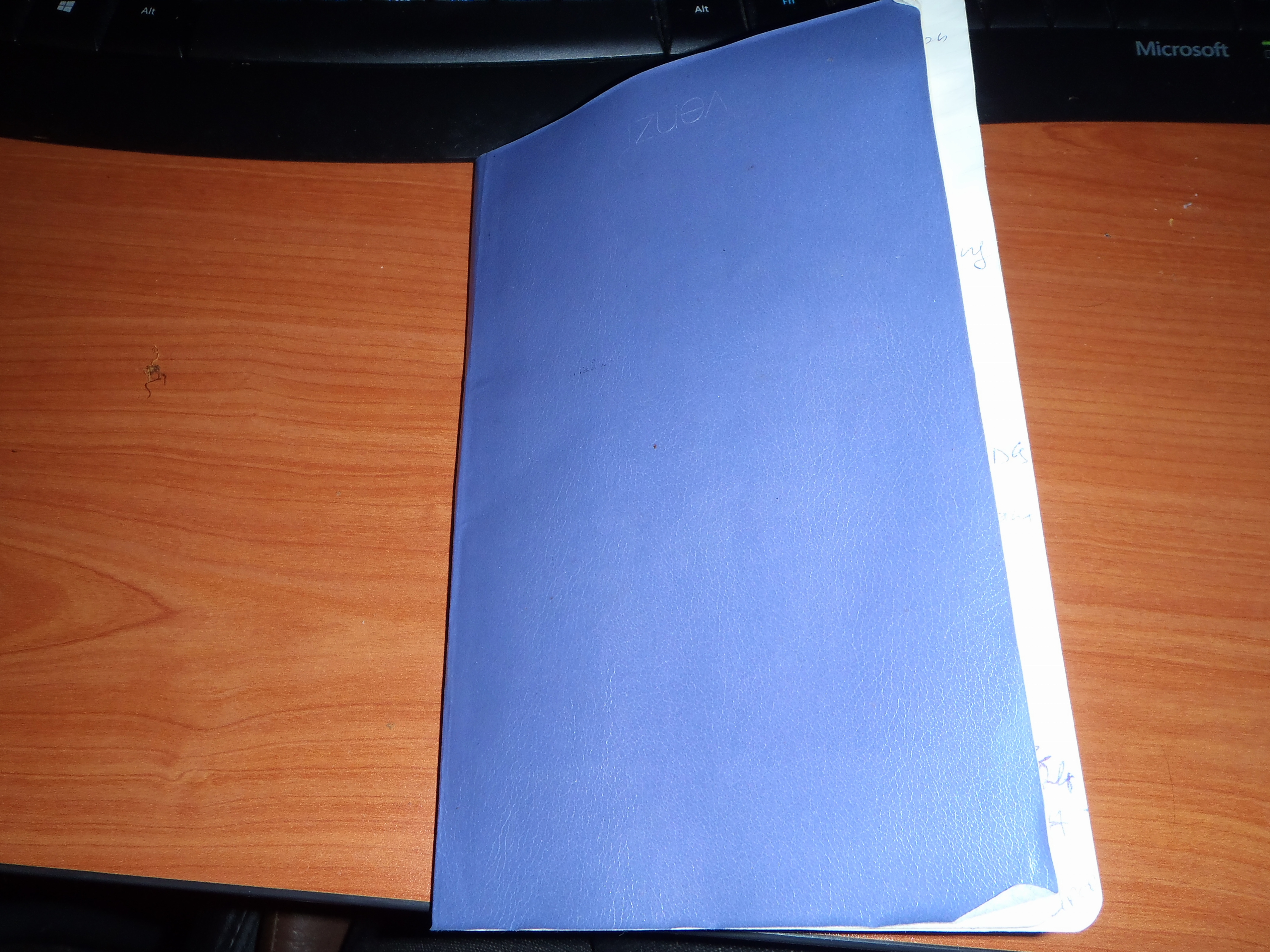 P1070002.JPG
