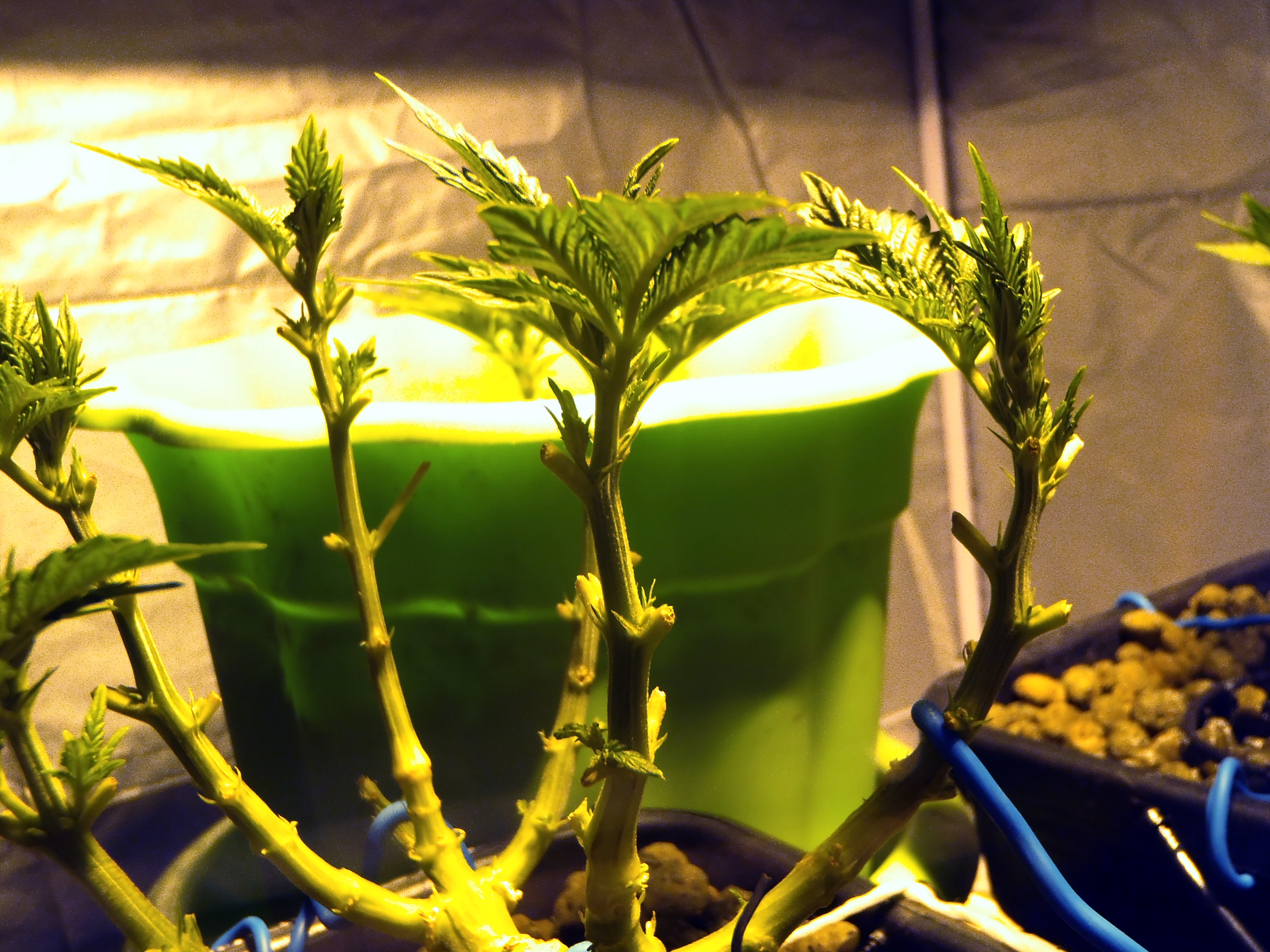 P1310030.JPG