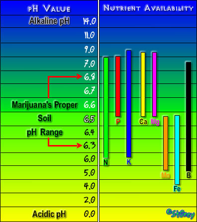 pH and nutrient uptake.jpg