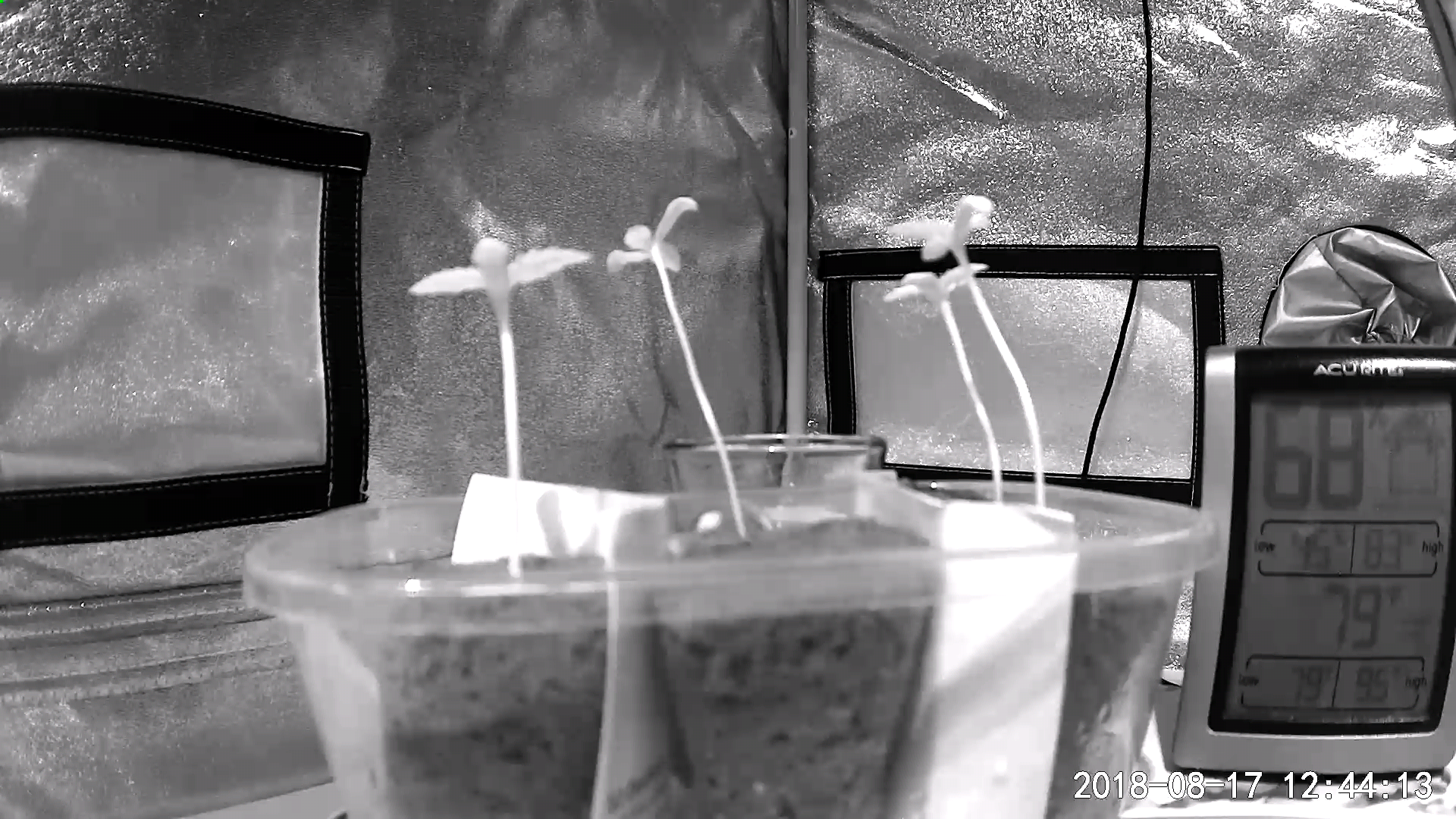 photo56353.png