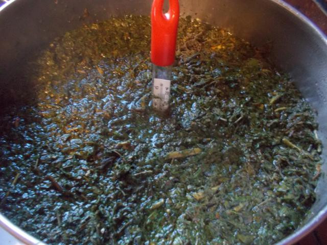 photo93121.jpg
