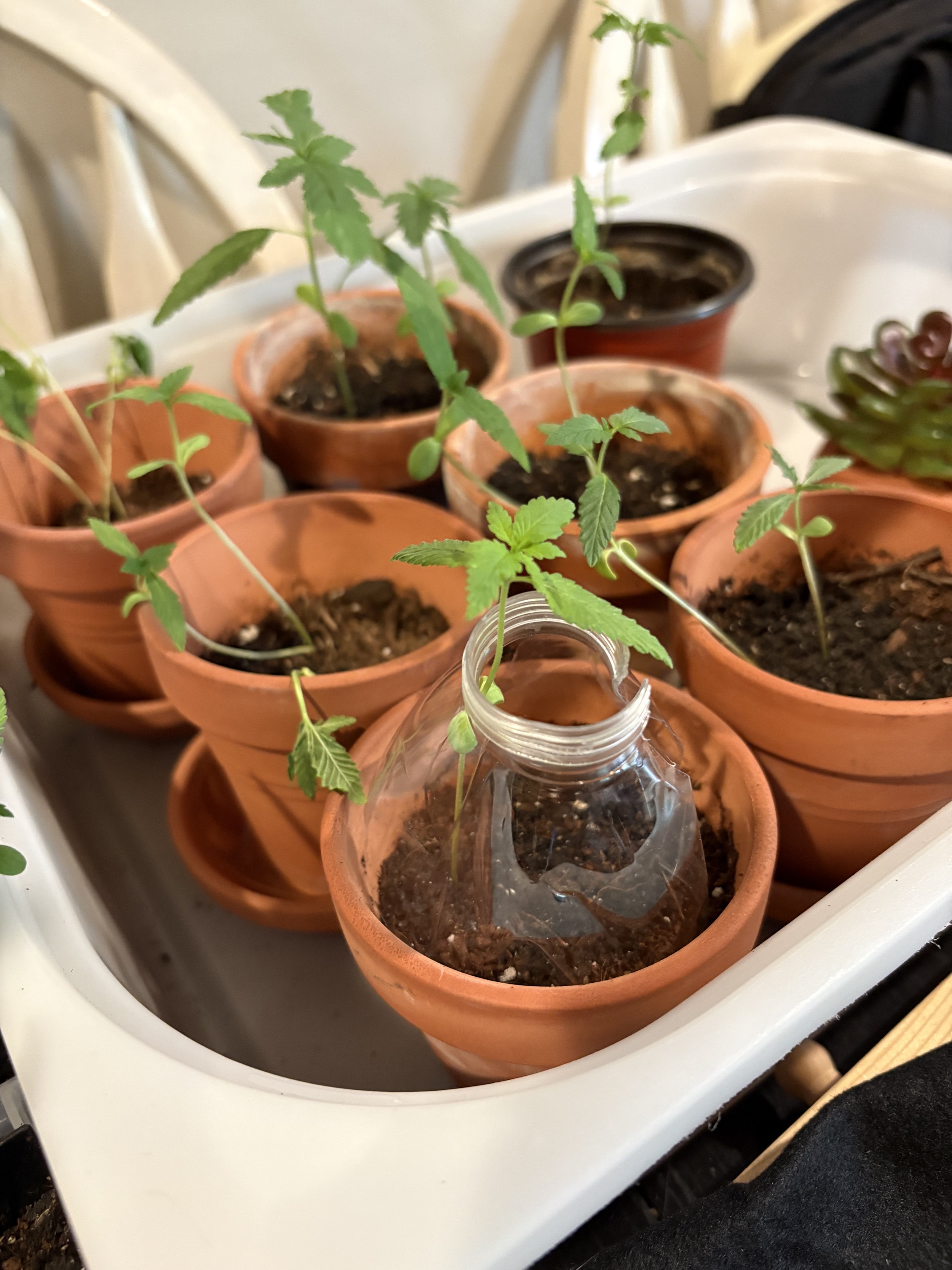 pot side.jpg