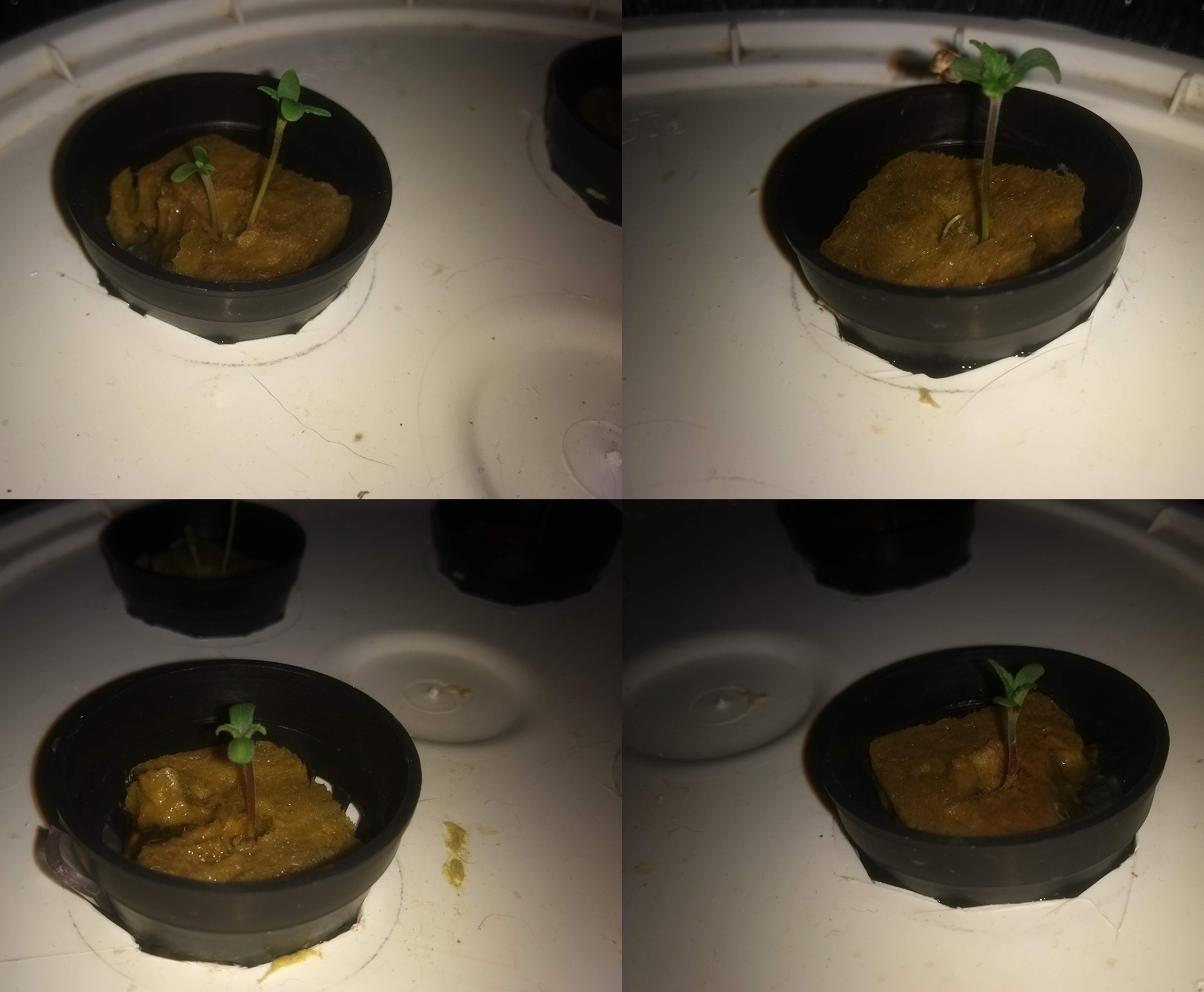 progress 9/02.jpg
