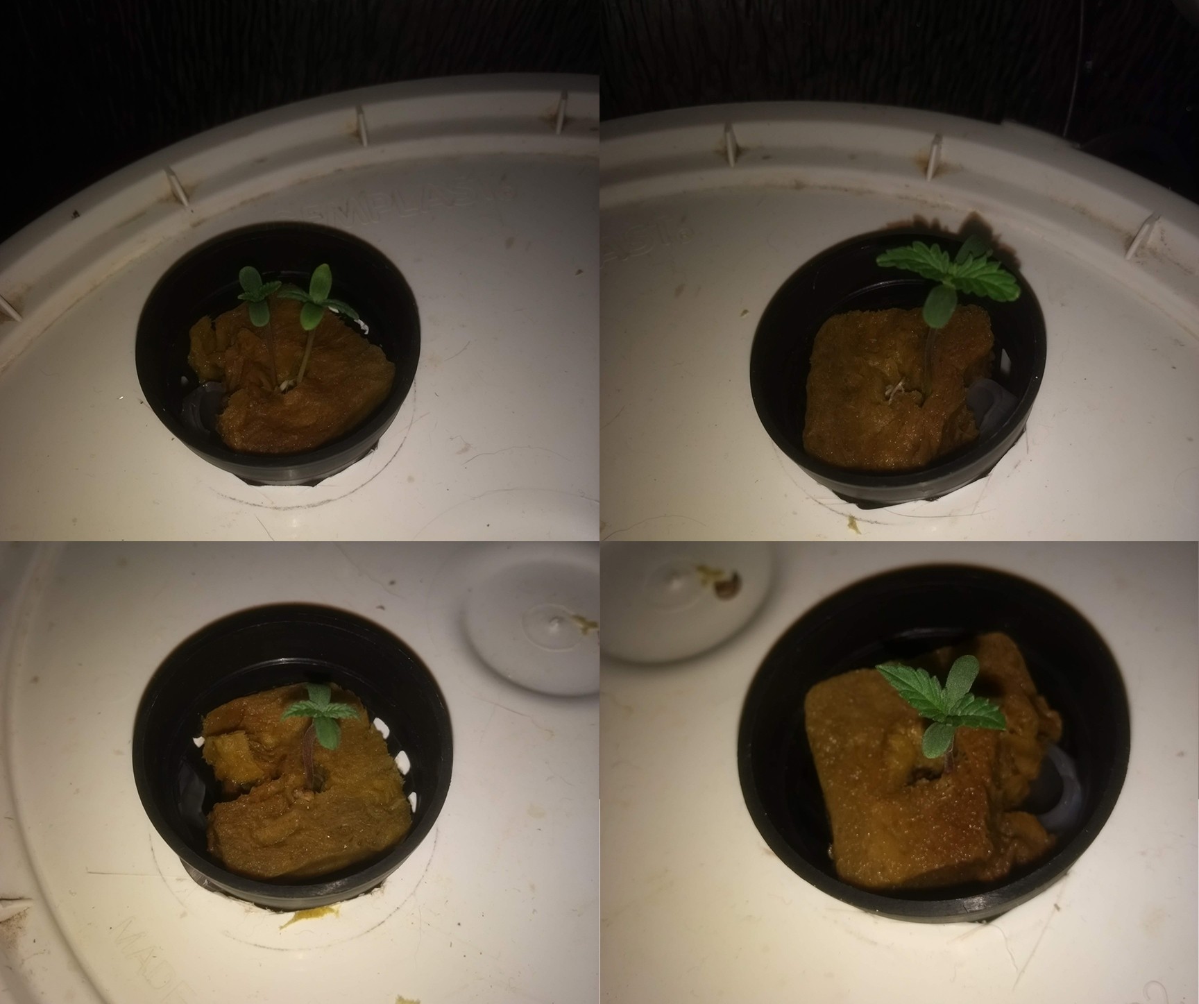 progress 10/02