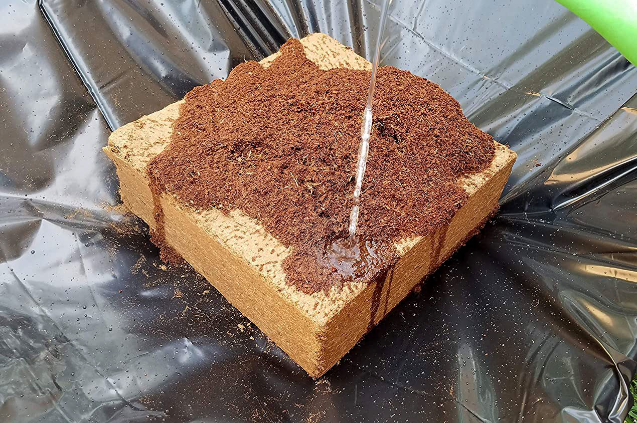 Click image for larger version  Name:	pure-coco-coir-adding-water.jpg Views:	1 Size:	485.0 KB ID:	664446