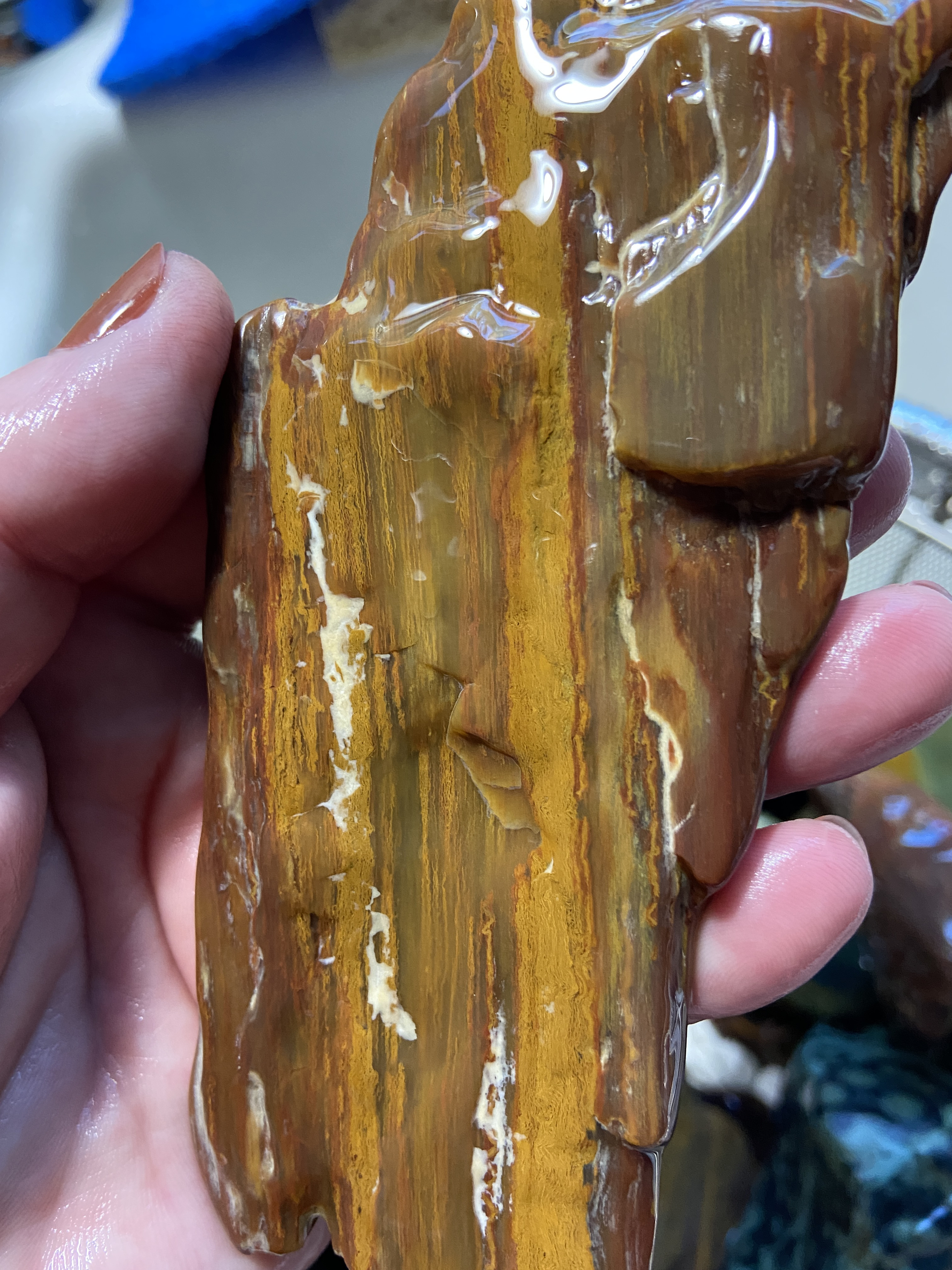 pw 7 27.JPG