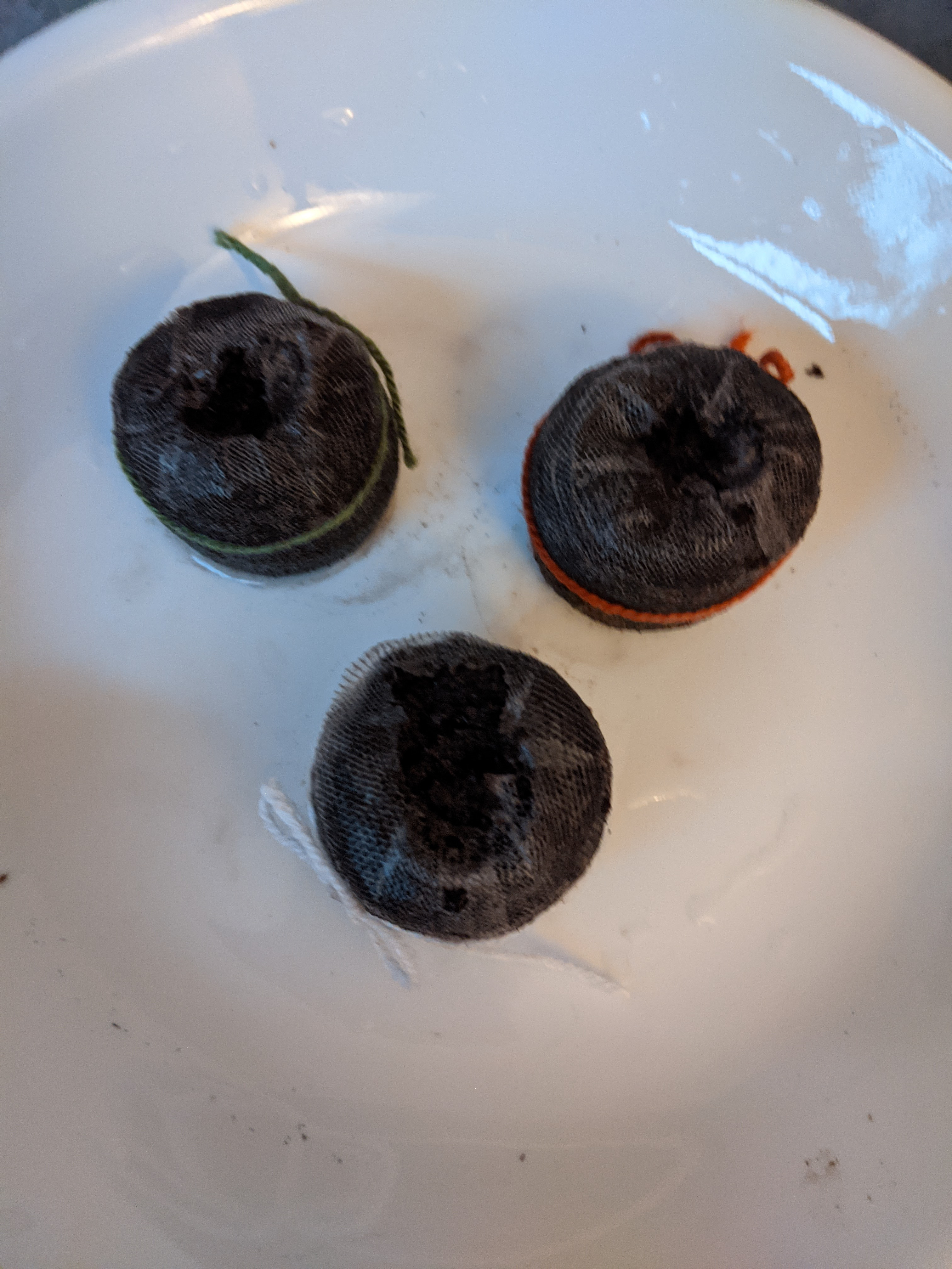 PXL_20210325_225030668.jpg