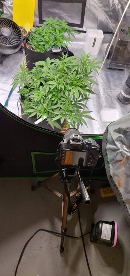 received_608320193433917.jpeg