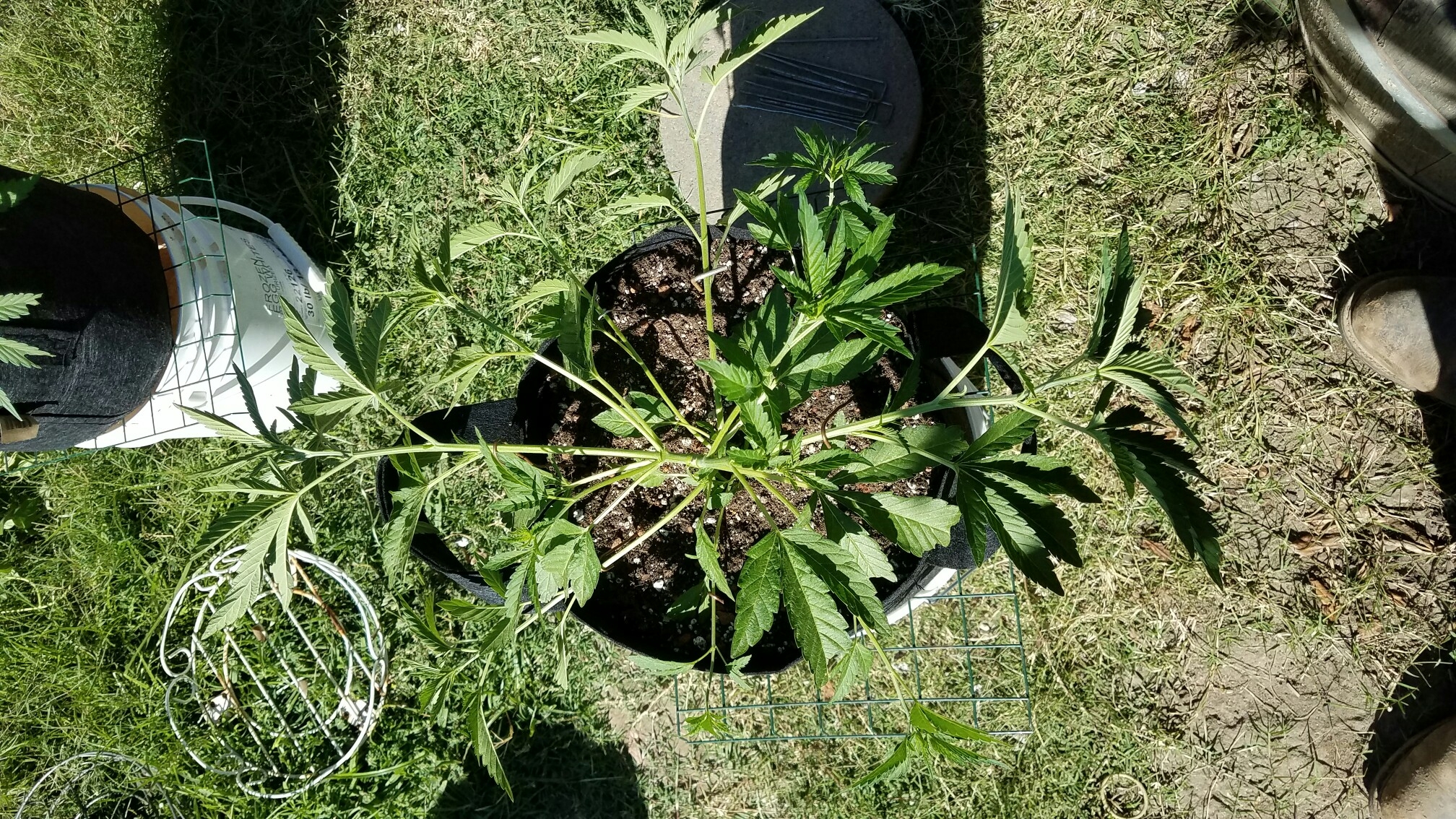 Resized_20170627_170101.jpeg