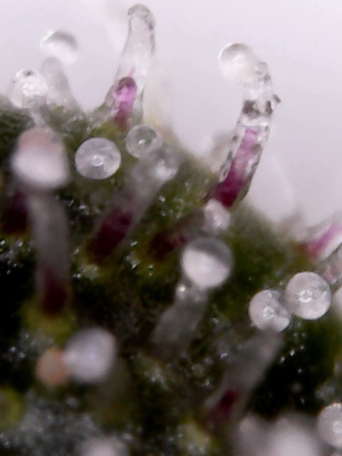S20170215_0005.jpg