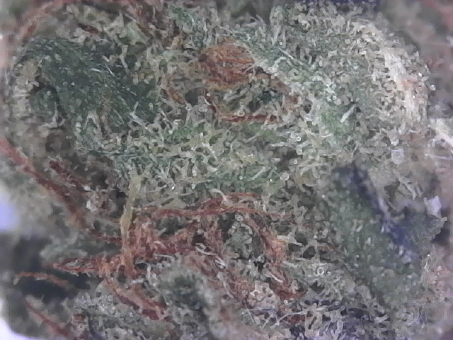 S20200113_0002.jpg
