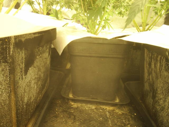 S4010015.JPG