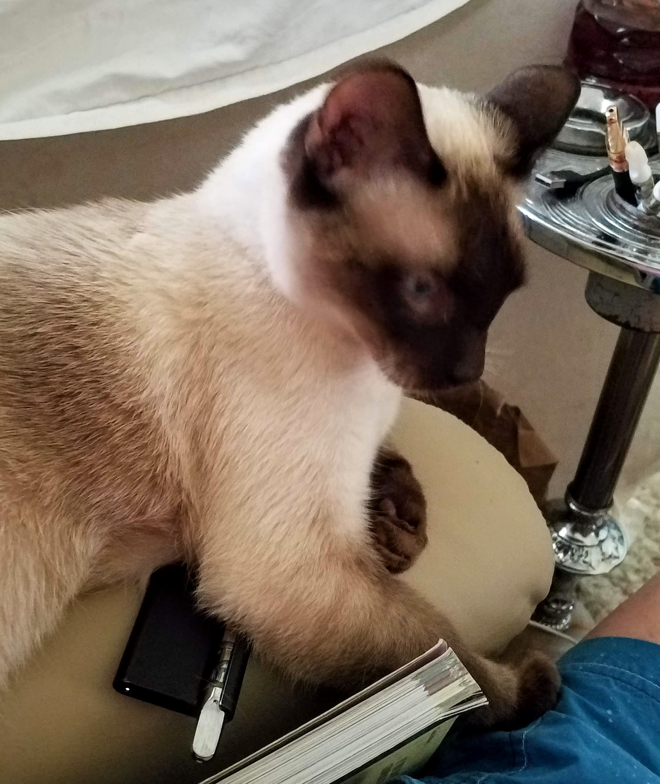 SamVapor.jpg