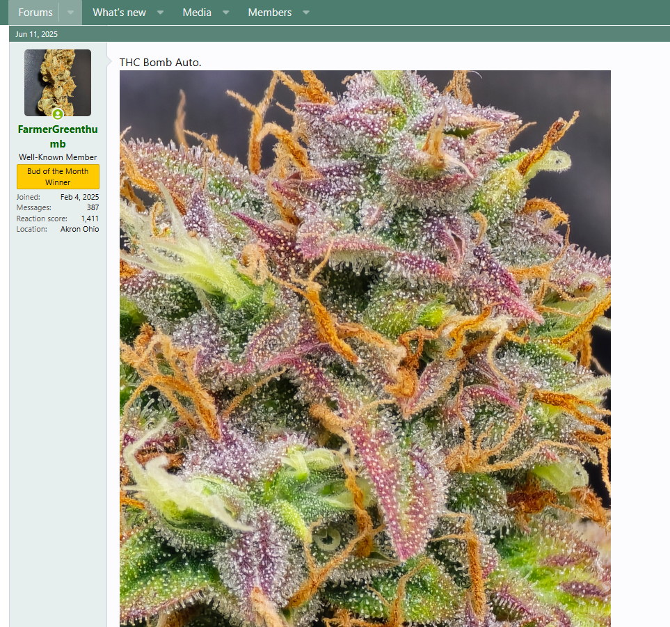 Screenshot 2025-07-16 130017.png