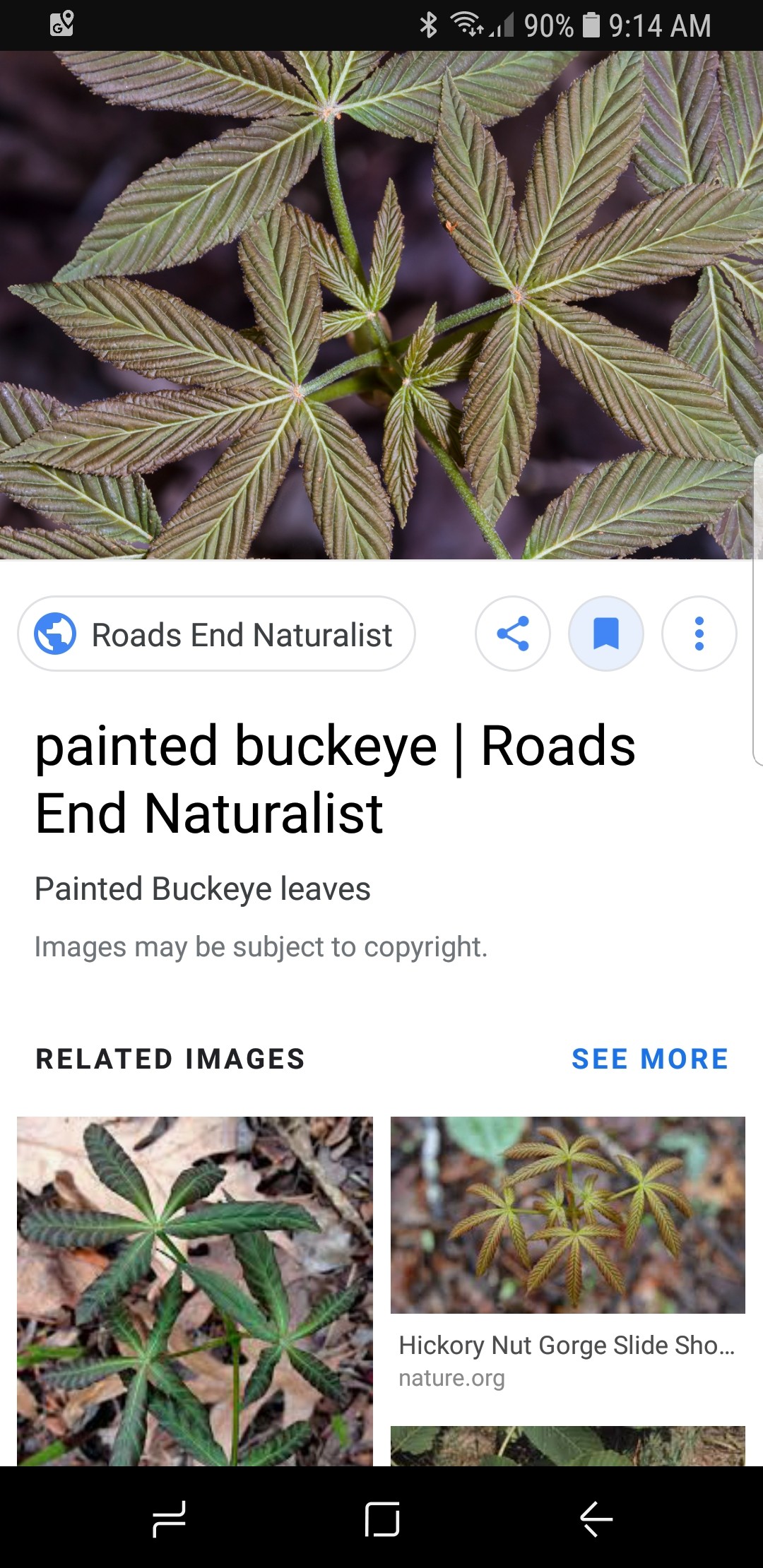 Screenshot_20180914-091419_Google.jpg