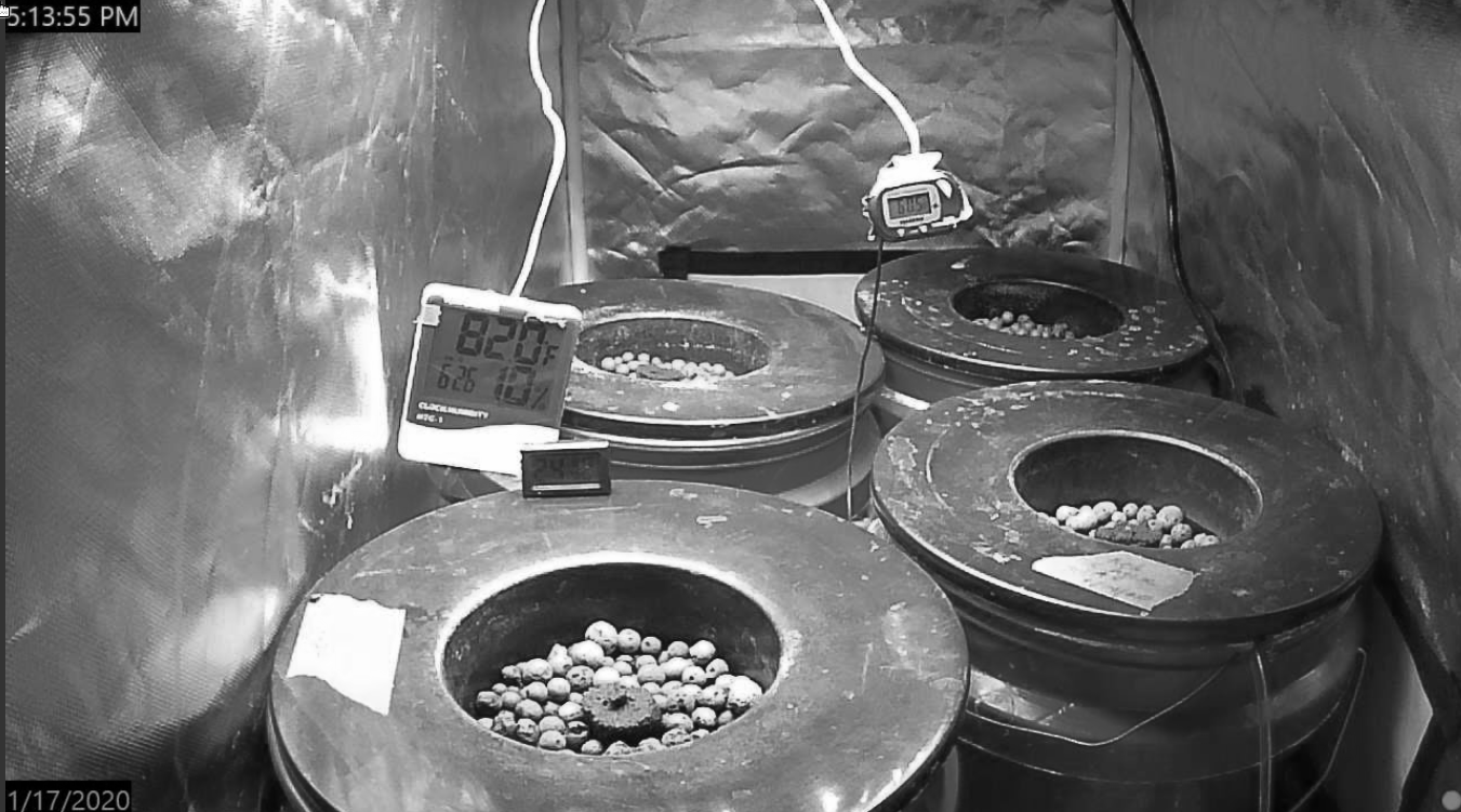 Screenshot_20200117_171403 monochrome.png