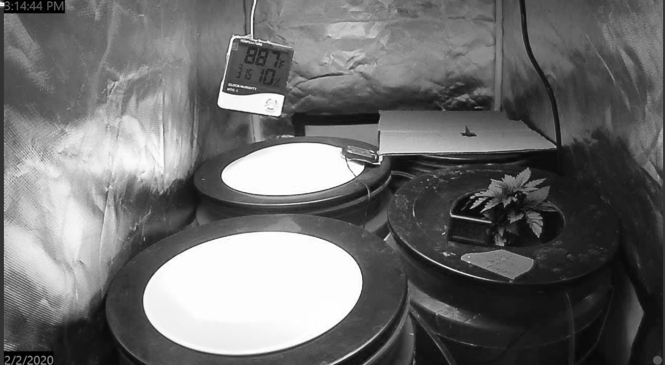 Screenshot_20200202_151459_mono.png