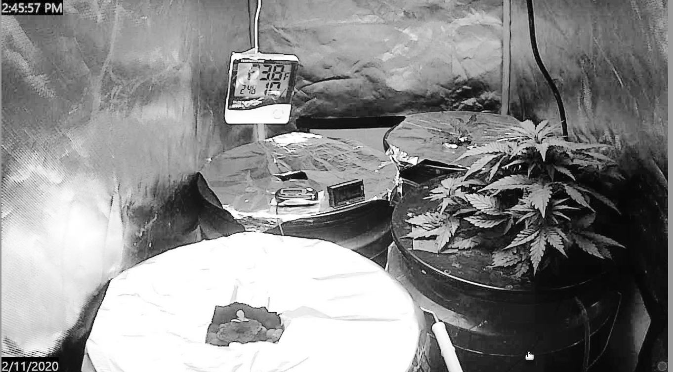 Screenshot_20200211_144624_mono.png