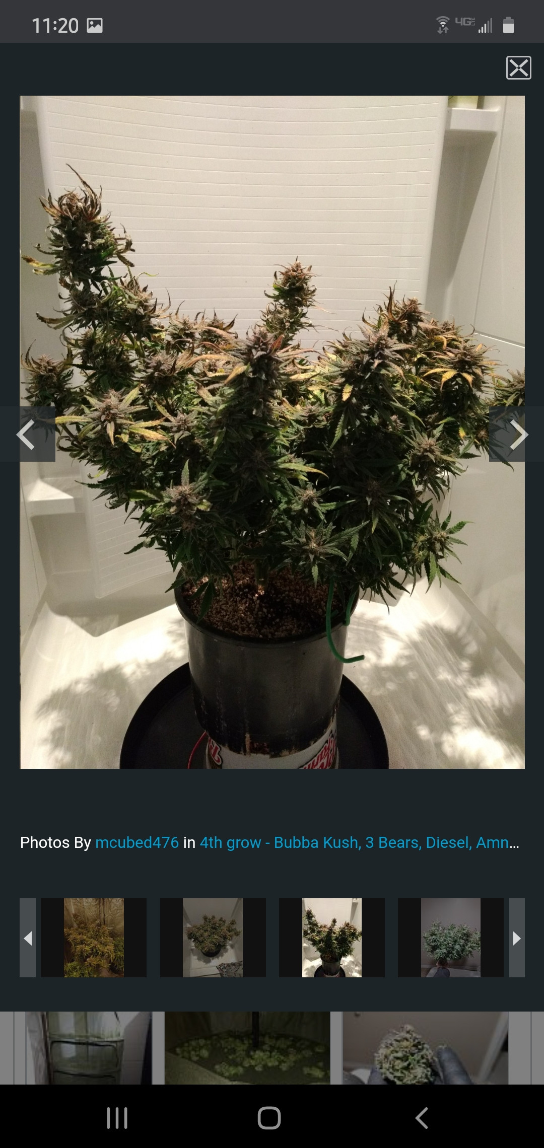 Screenshot_20200615-112021_Chrome.jpg